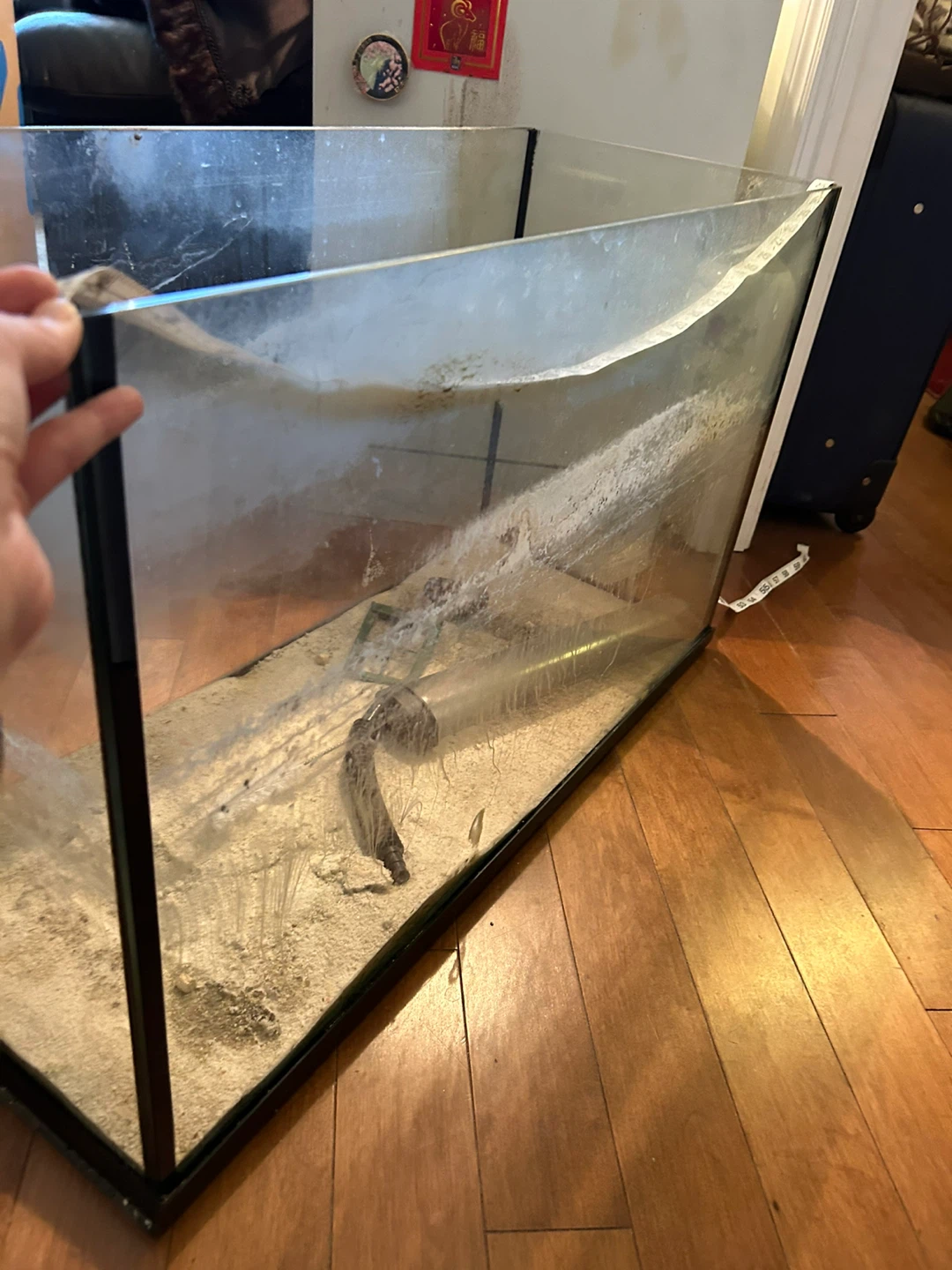 Used Fish Tank or Terrarium - photo 2