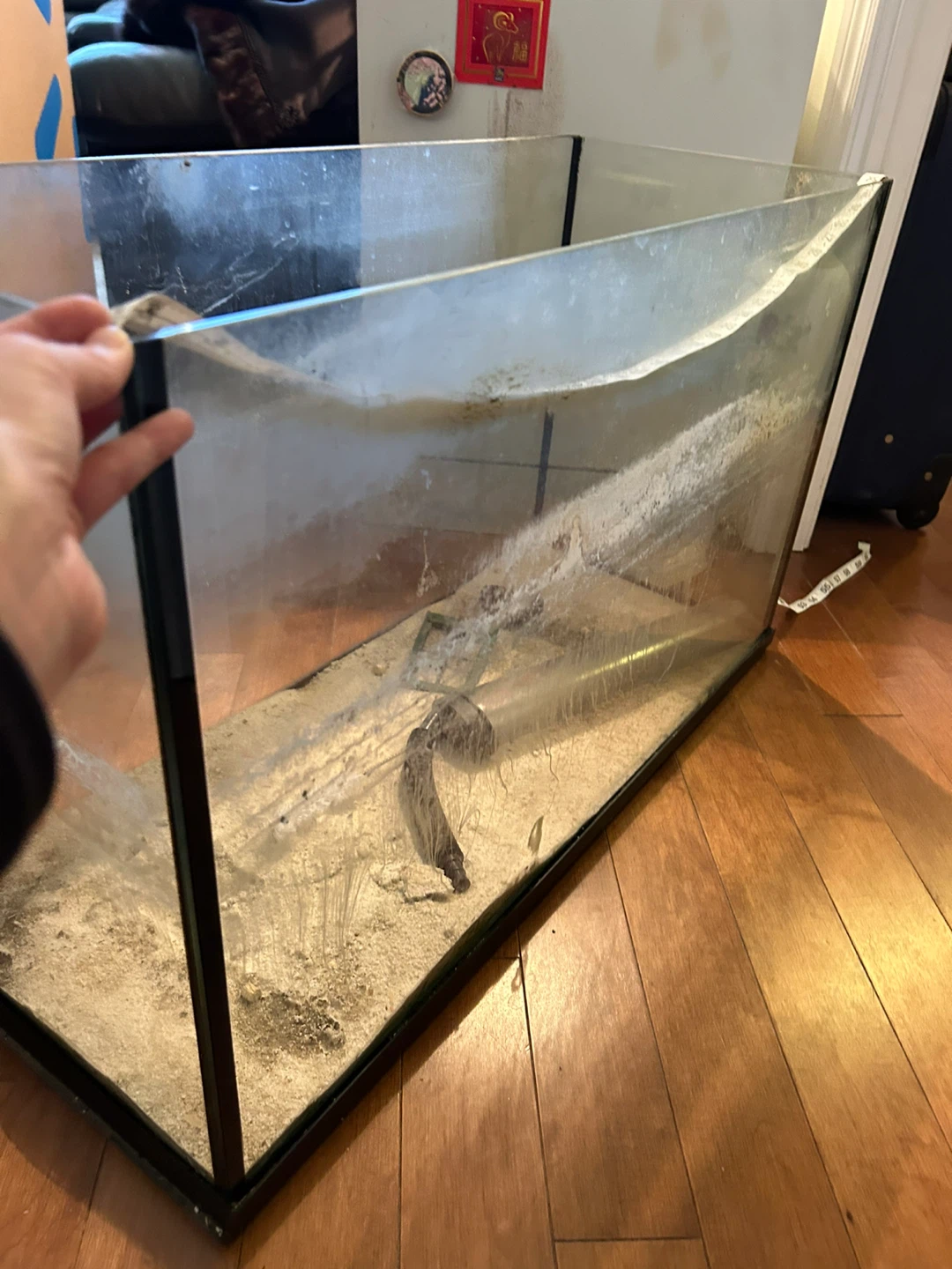 Used Fish Tank or Terrarium