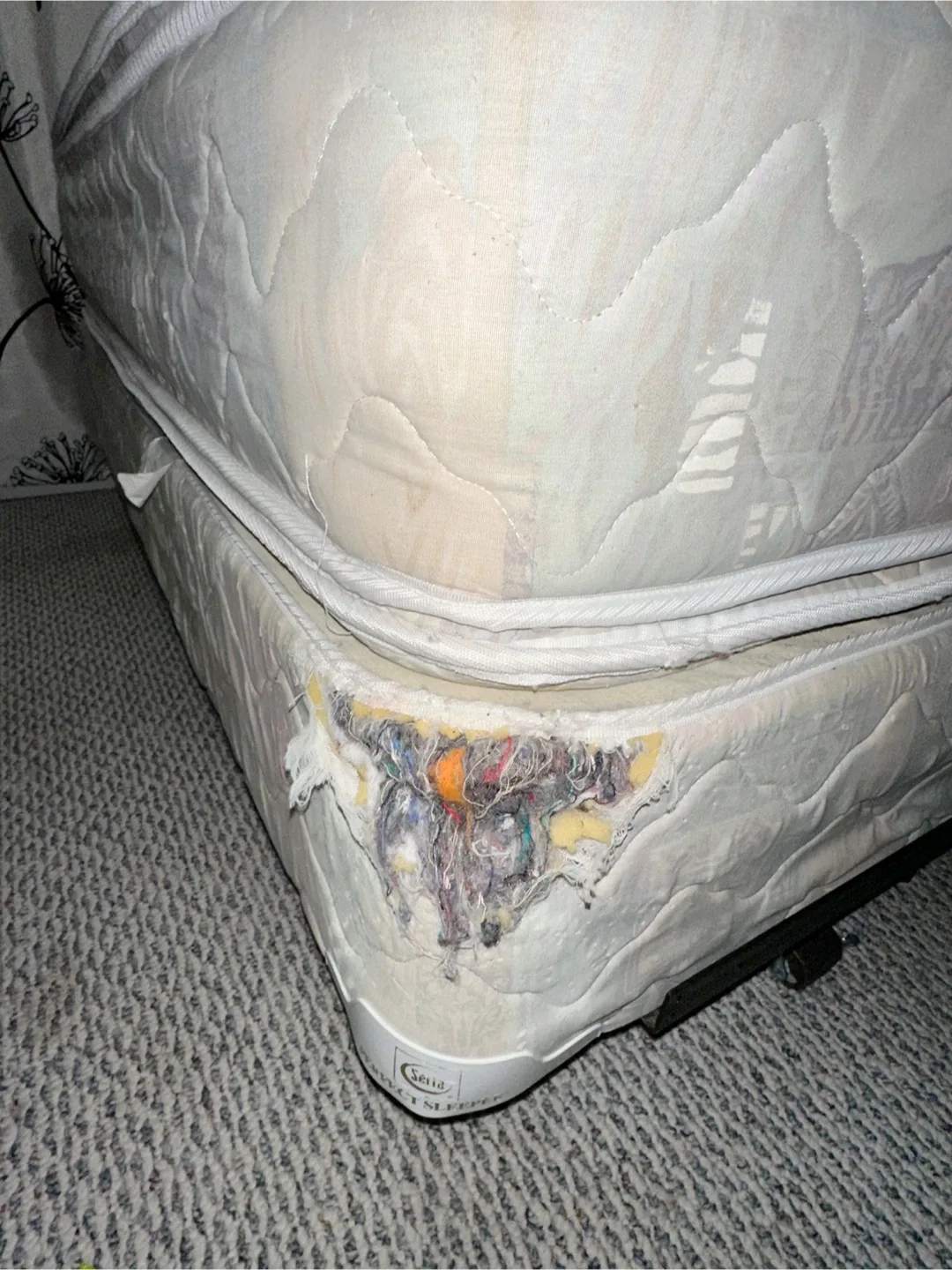 Queen bed set - Used Condition image indicator(3)