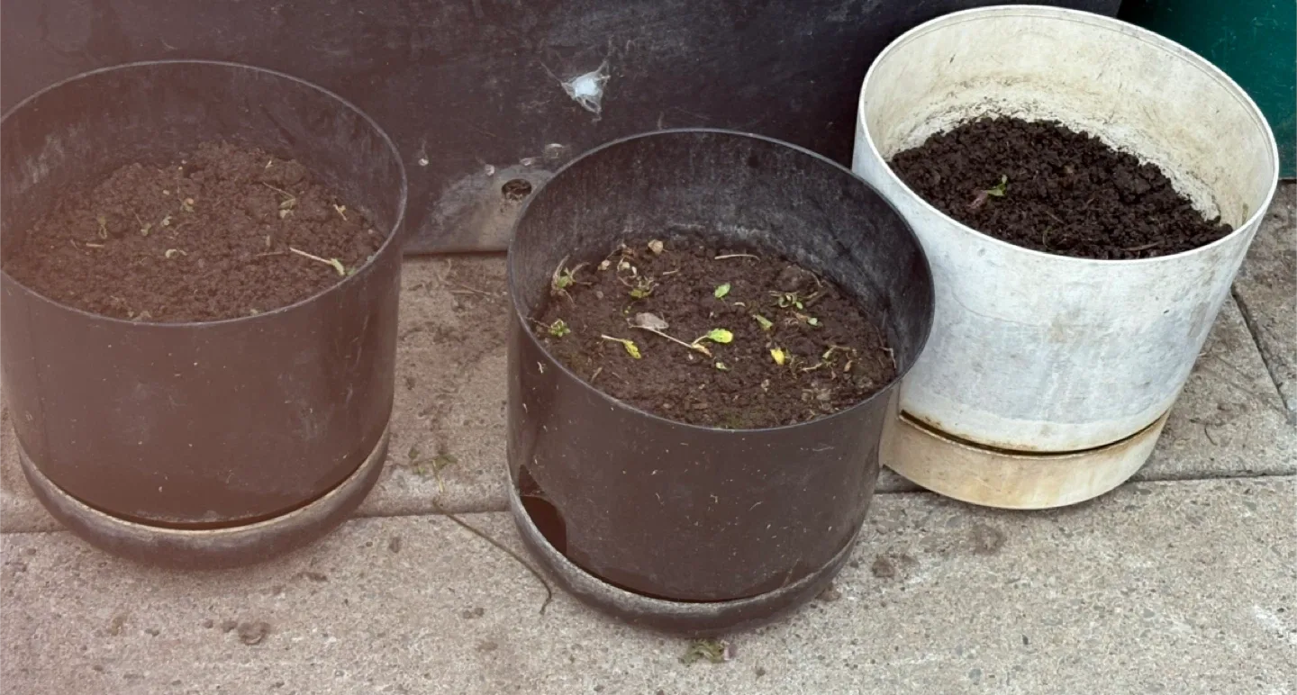 Outdoor planters image indicator(2)