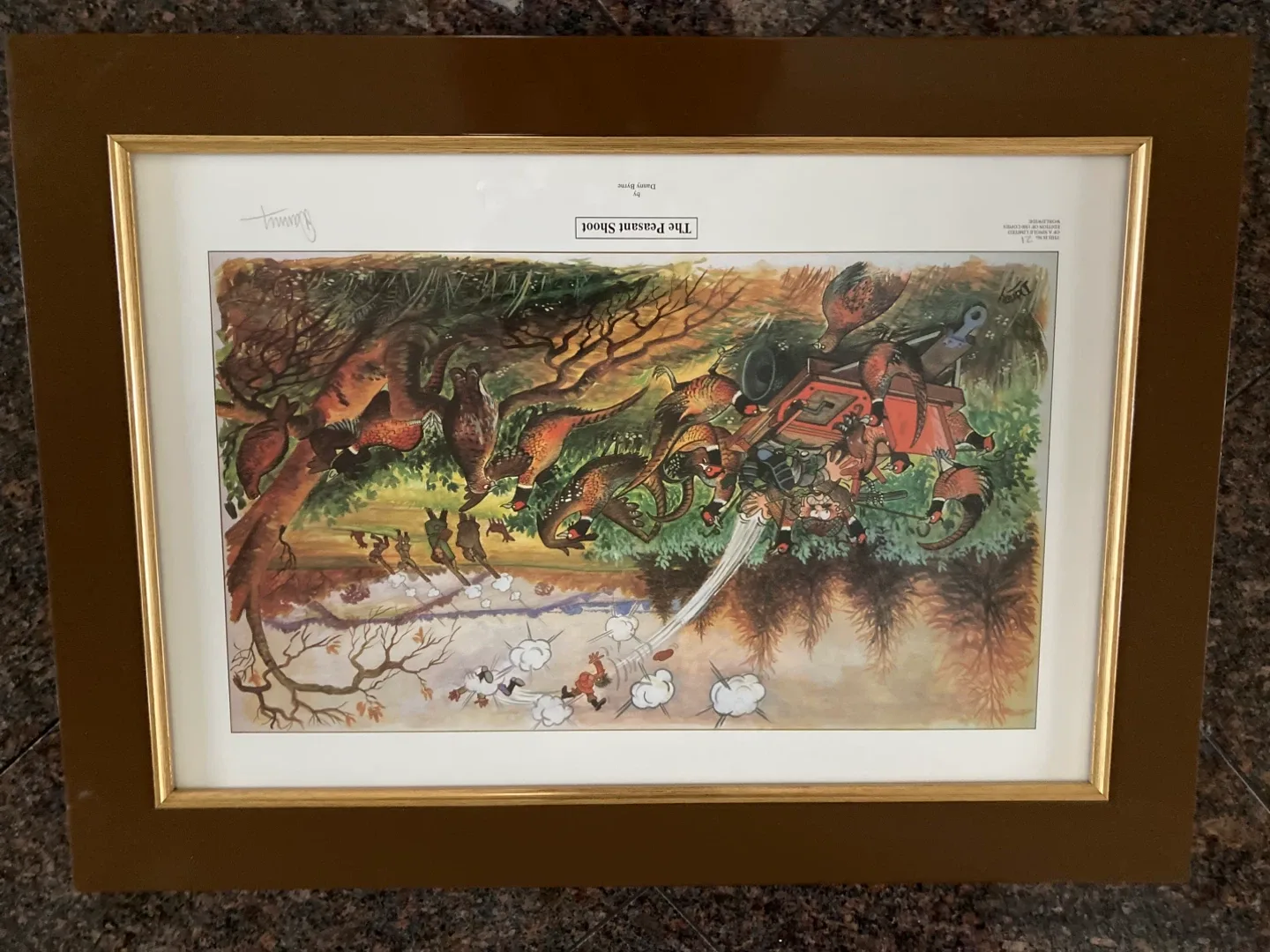 NEW FRAMED PICTURES image indicator(2)