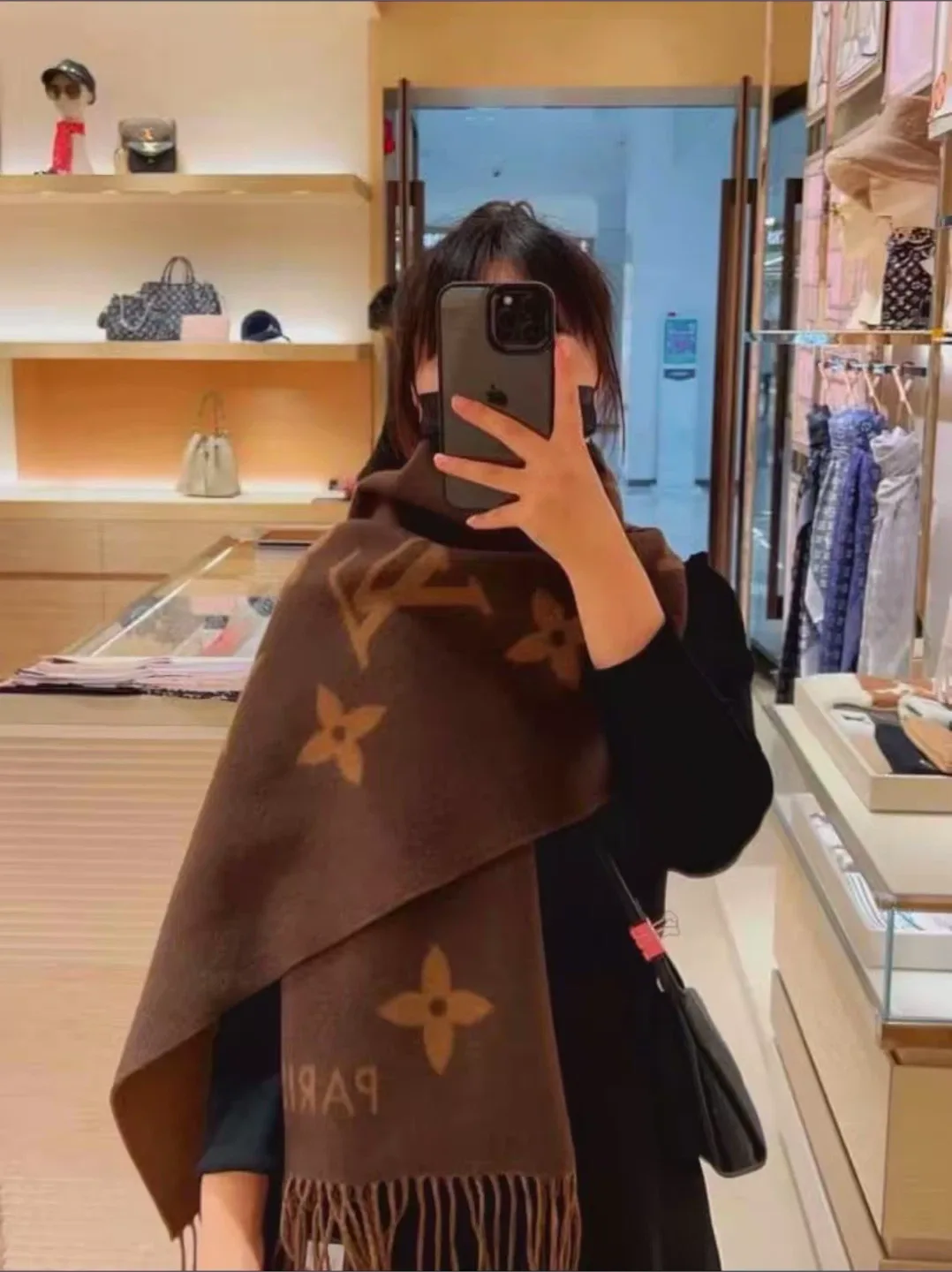 Louis Vuitton Brown Scarf image indicator(2)