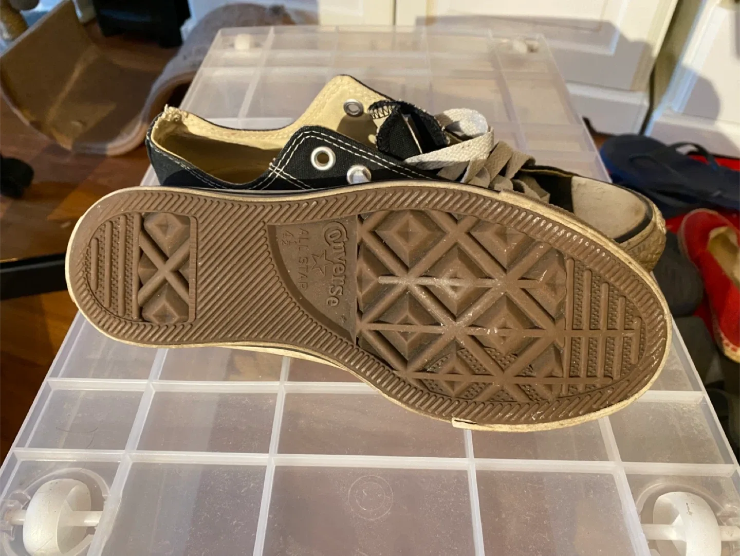 Converse All Star Low Top - Women's US 6.5 image indicator(2)