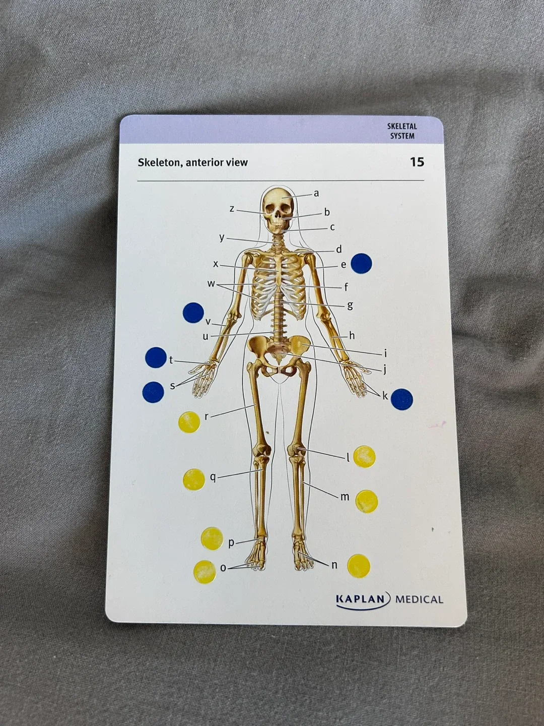 Kaplan Medical Flashcards image indicator(3)