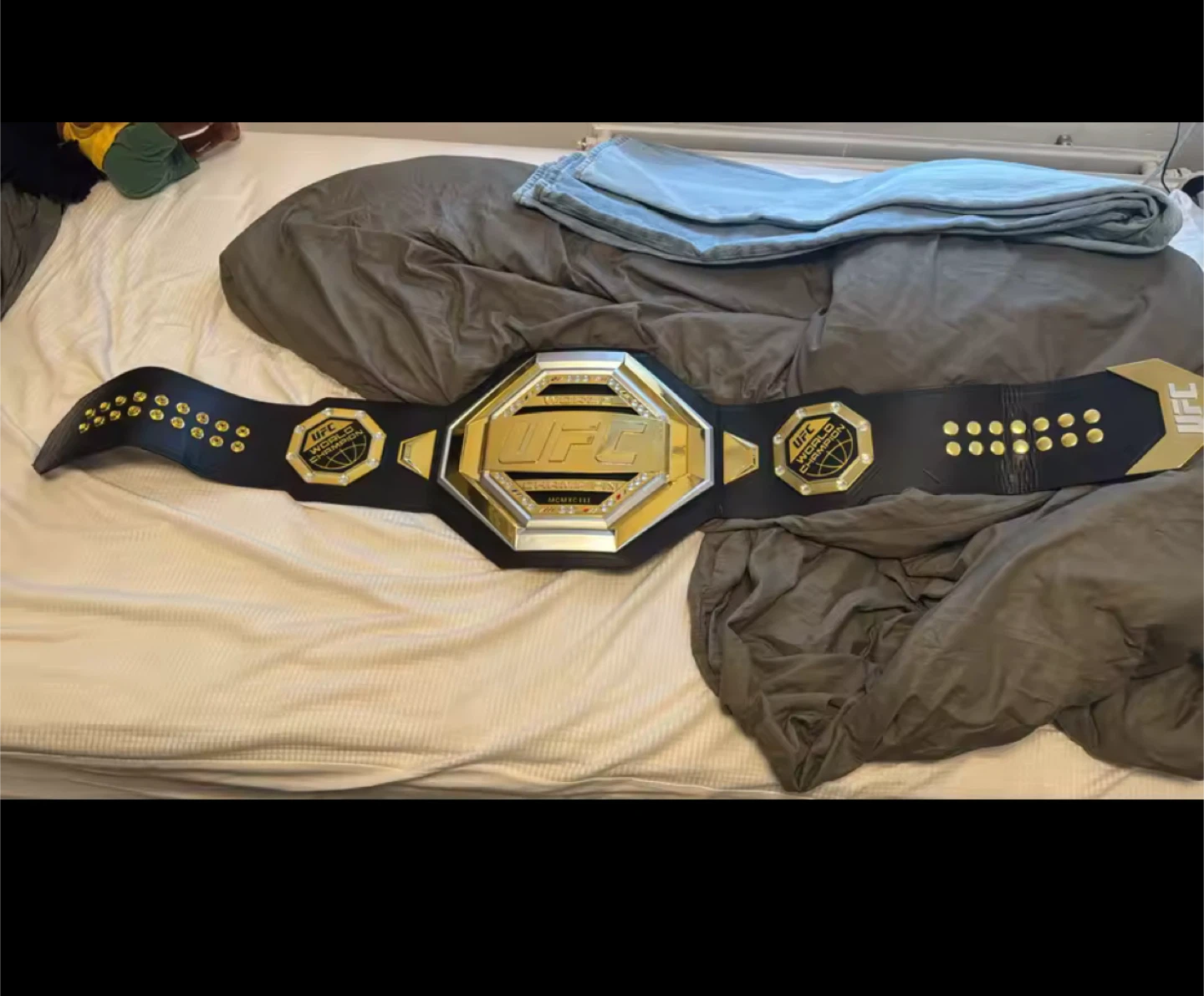 UFC World Champion Belt