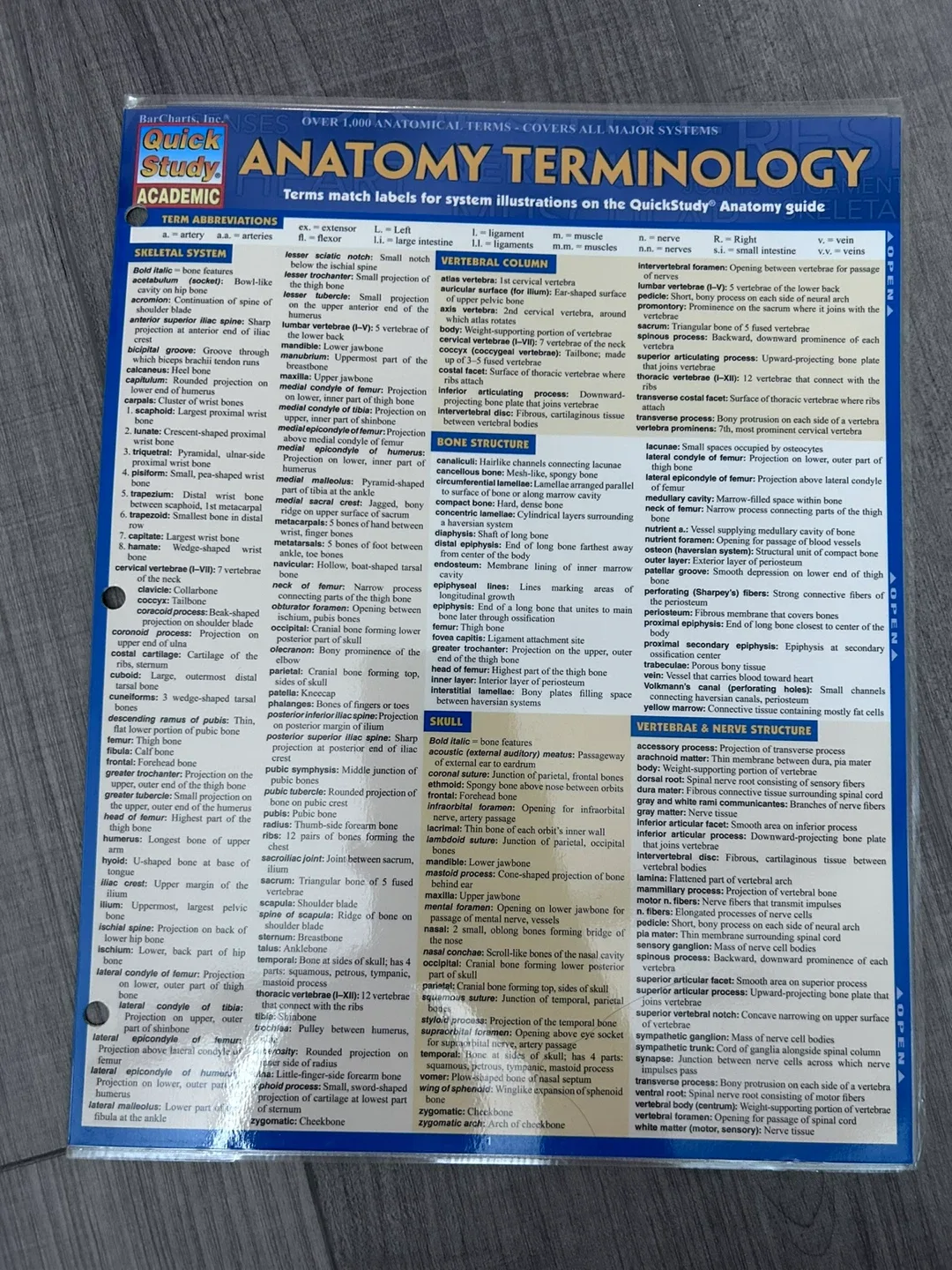4 sets: Anatomy & Skeletal & Muscular & Anatomy Terms image indicator(7)