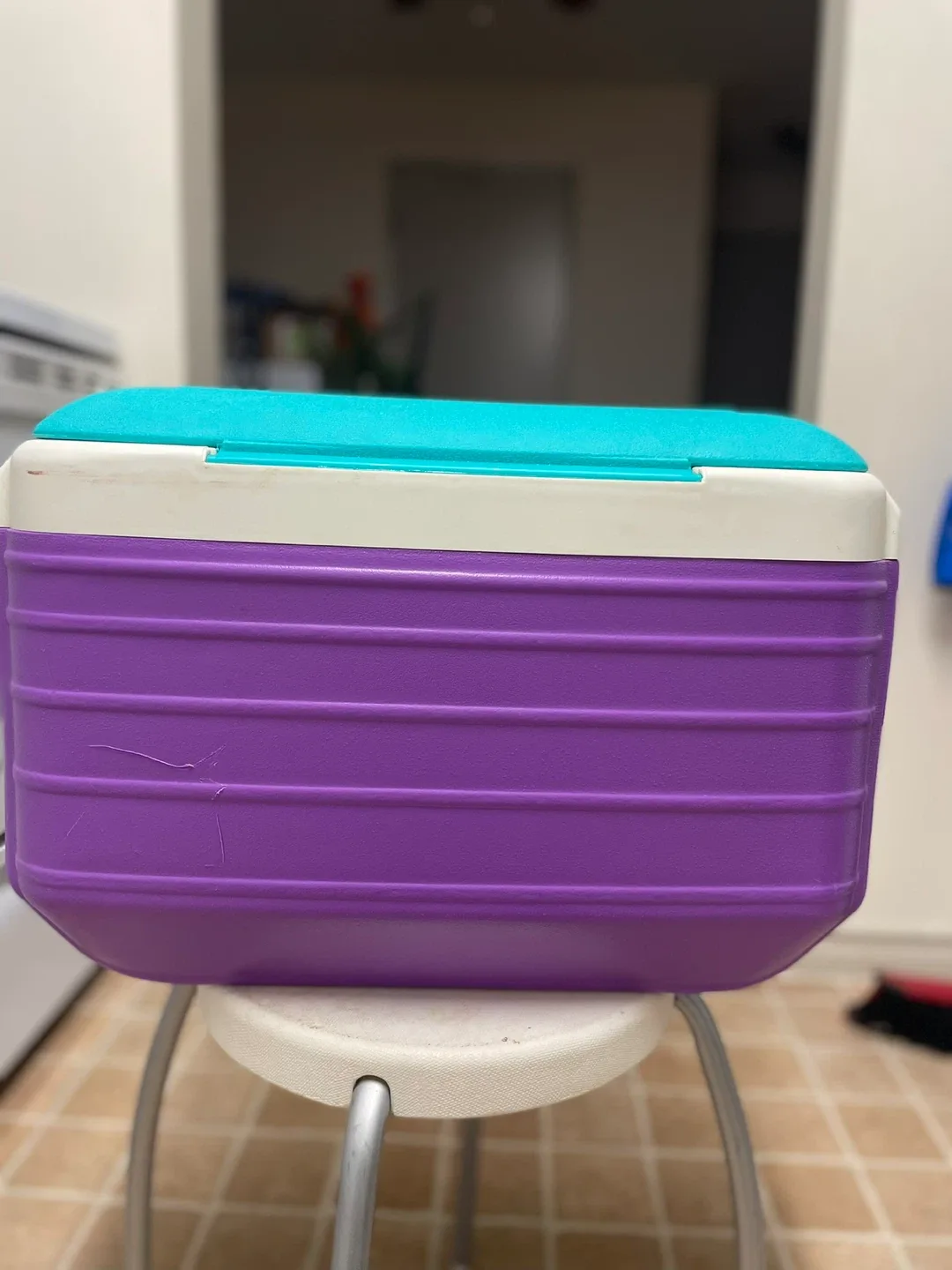 Thermos Cooler - Purple & Teal