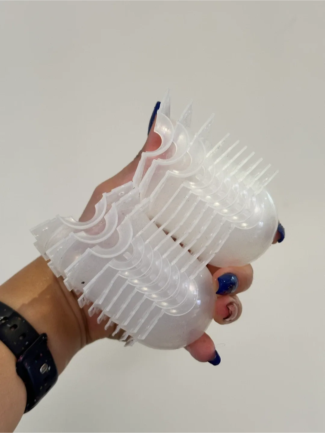 Propogation Boxes for Root Growth image indicator(2)