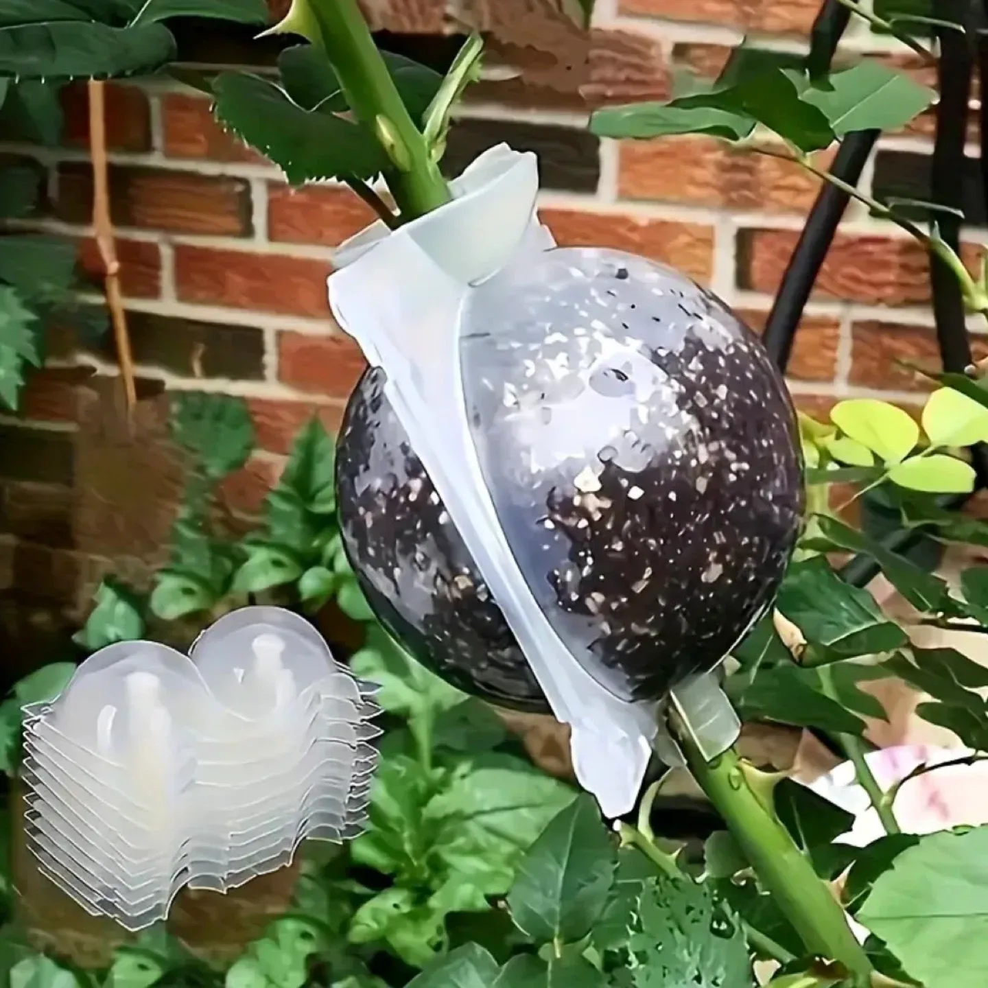 Propogation Boxes for Root Growth