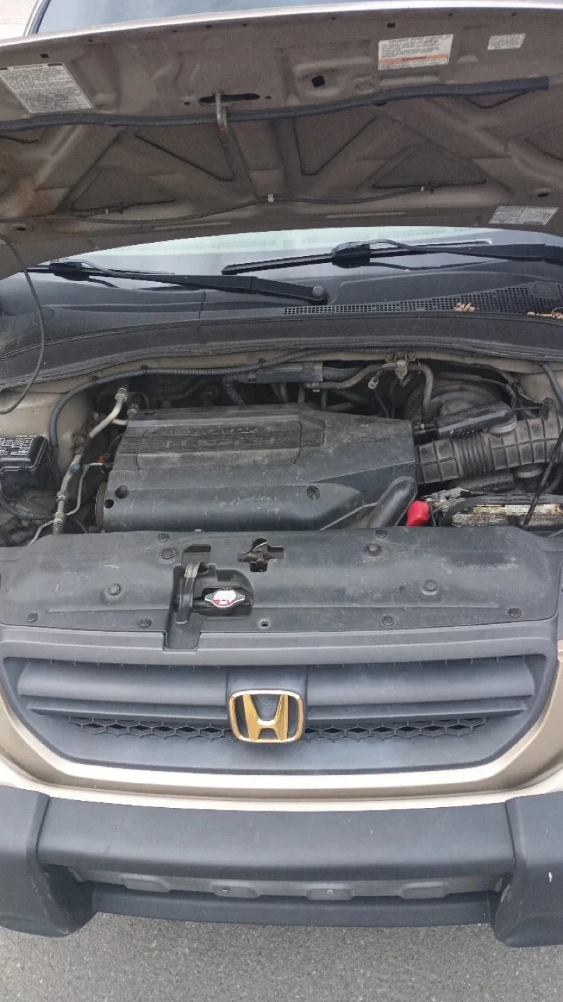 Yipeta image indicator(2)