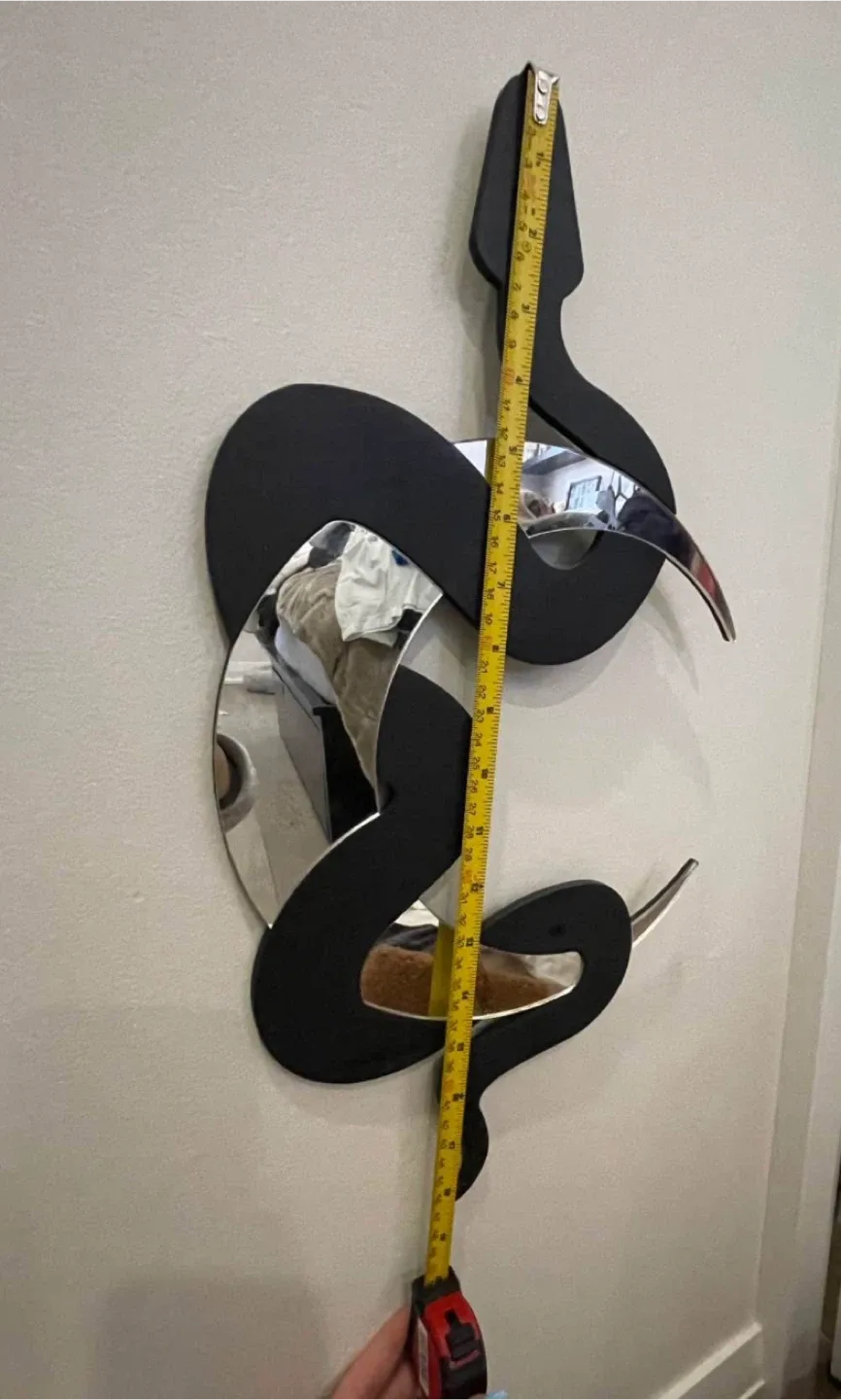 Snake Mirror Wall Decor, Black, 18x23 inches image indicator(2)