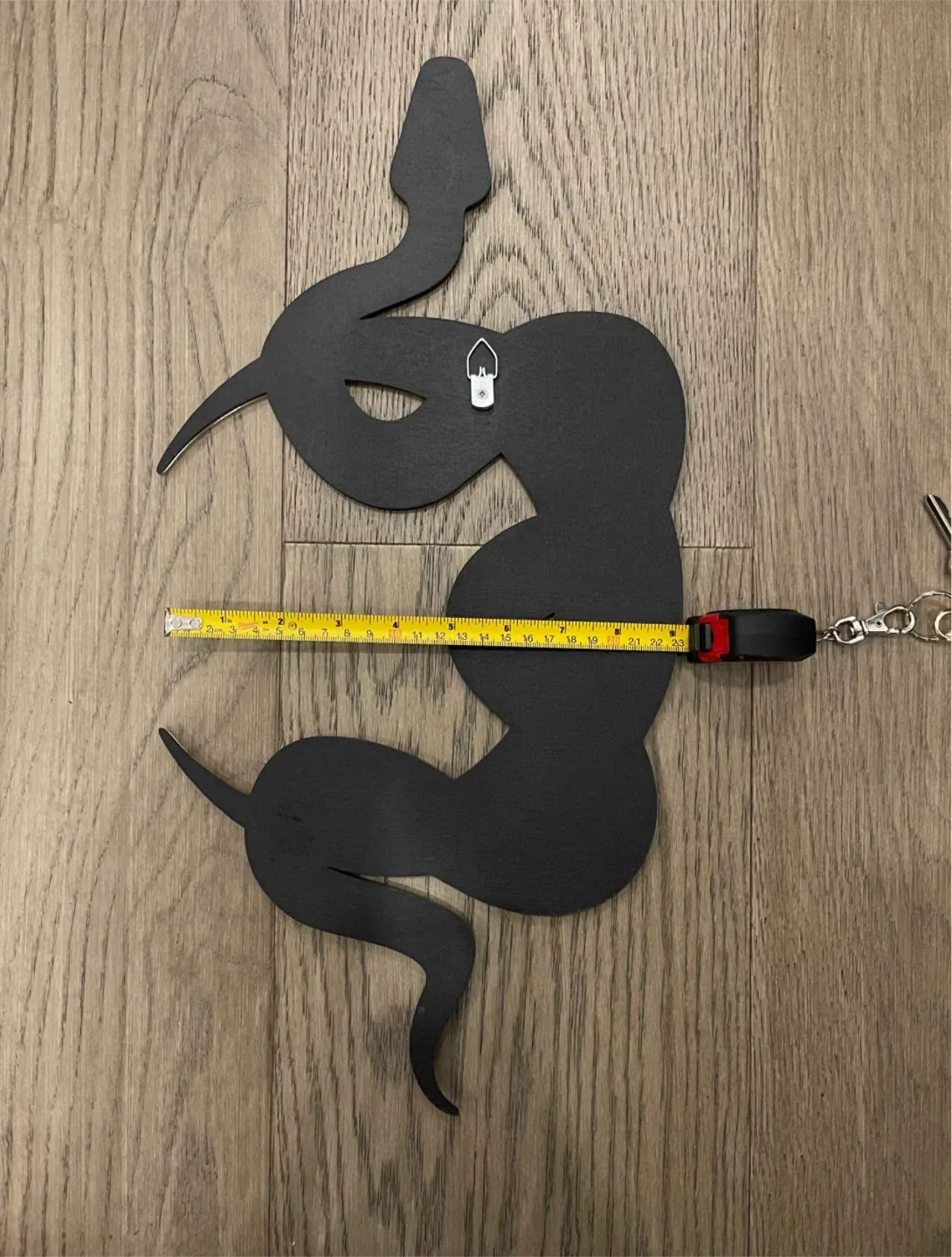 Snake Mirror Wall Decor, Black, 18x23 inches image indicator(4)