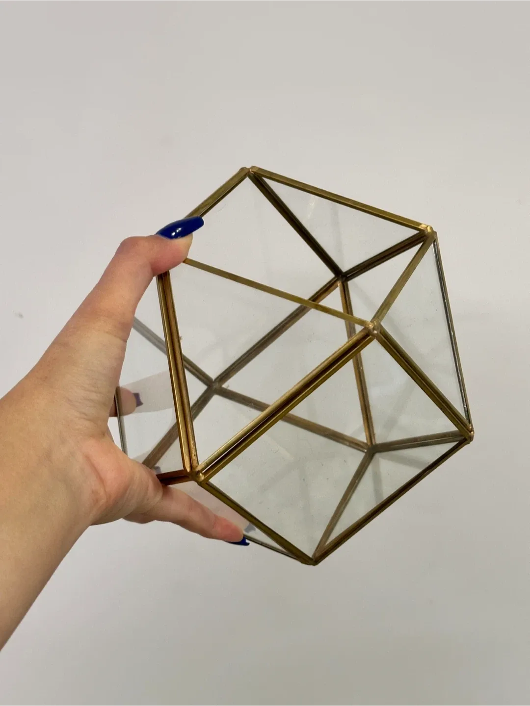 Geometric Terrariums image indicator(2)