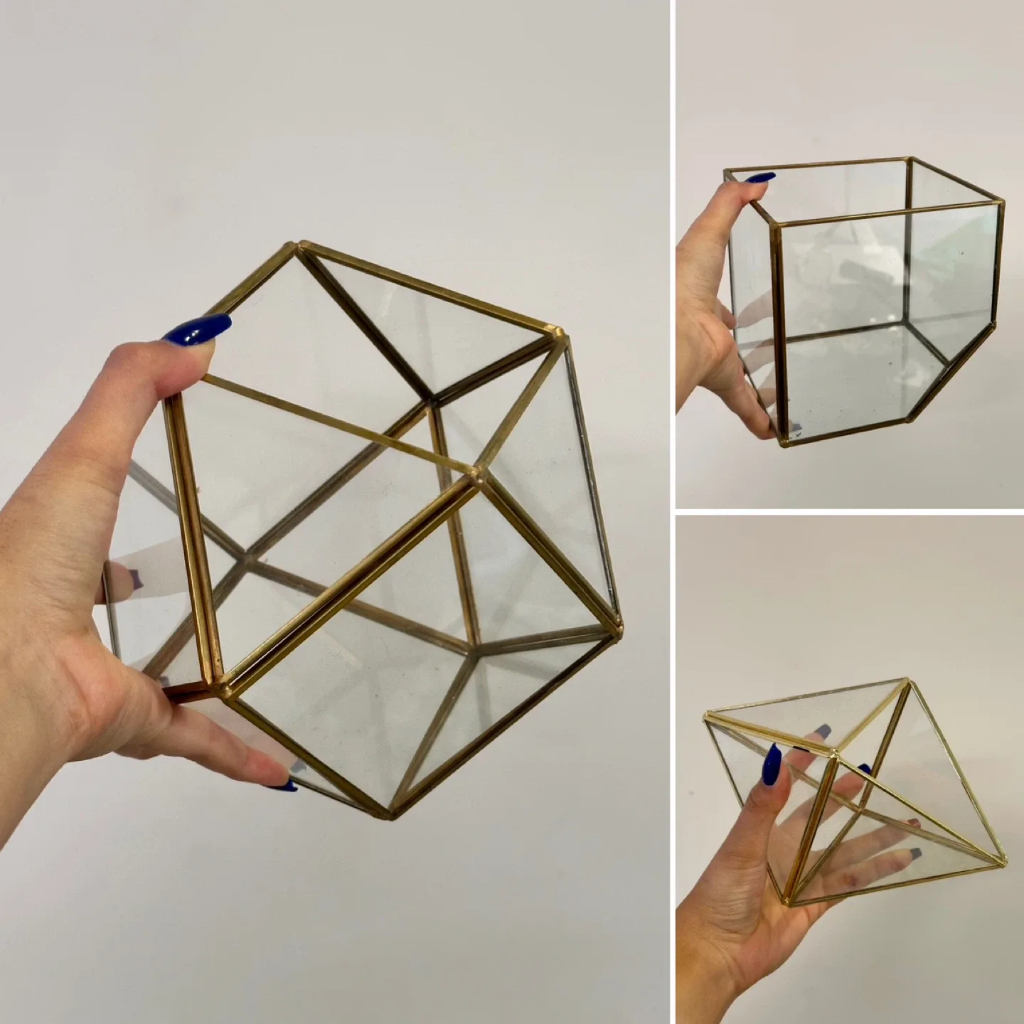 Geometric Terrariums