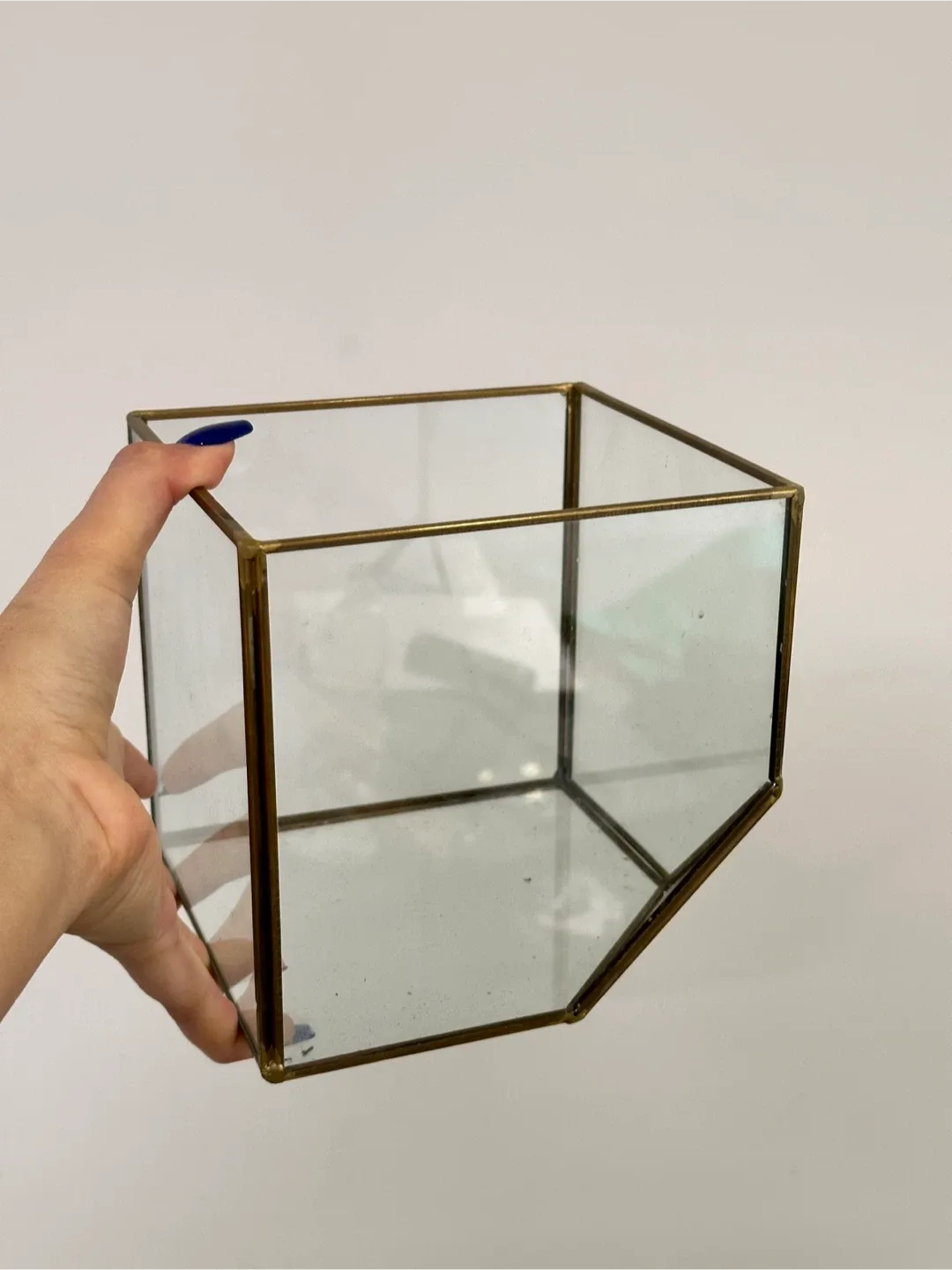 Geometric Terrariums image indicator(3)