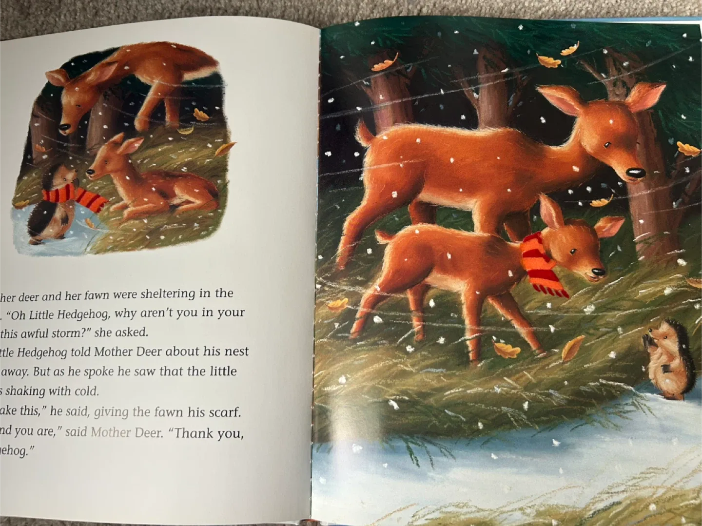 Childrens / kids books image indicator(6)