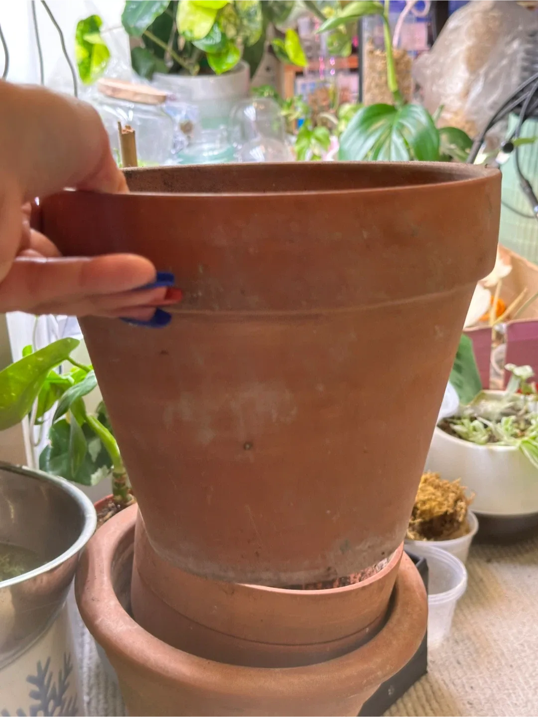 Terracotta Planters & Saucers x4 image indicator(2)