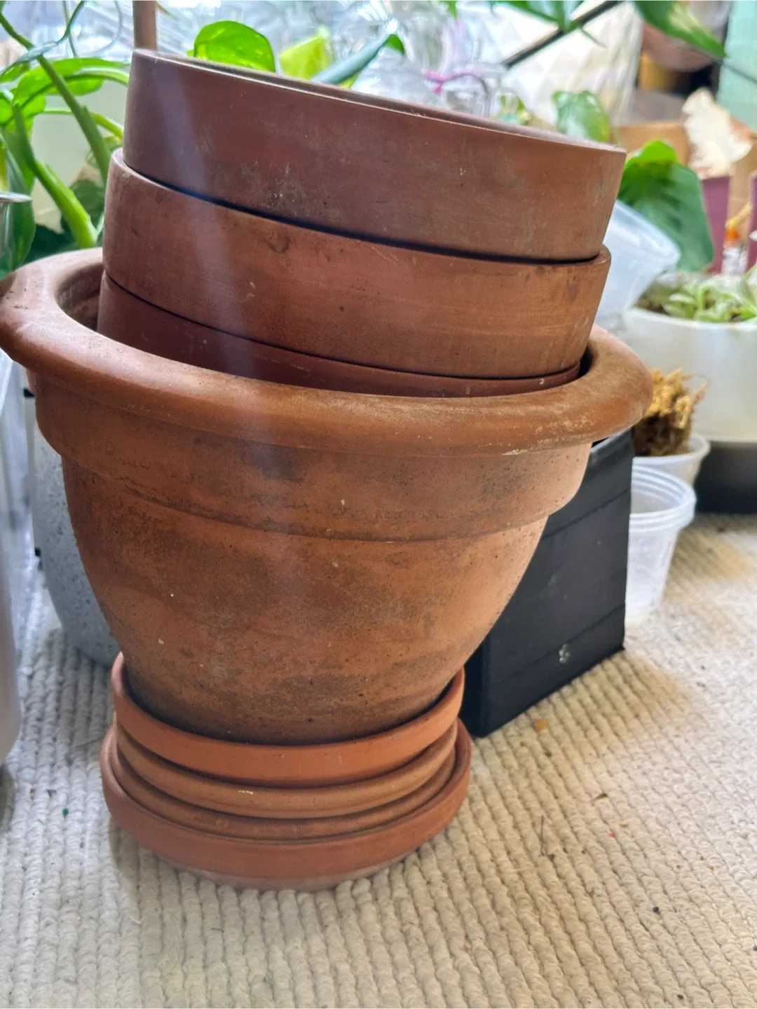 Terracotta Planters & Saucers x4
