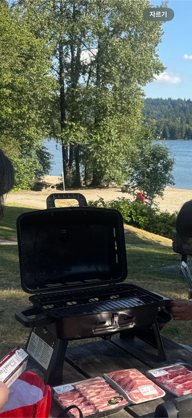 Portable BBQ Grill - Black - photo 2