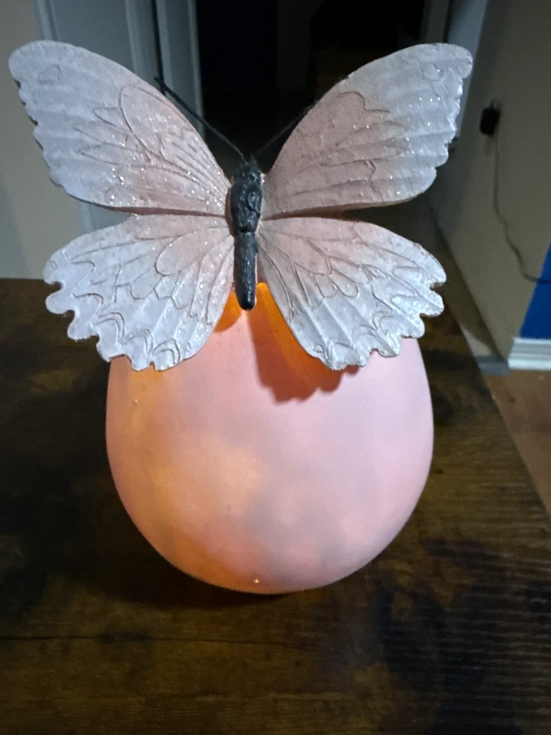 Butterfly Egg Light Decor