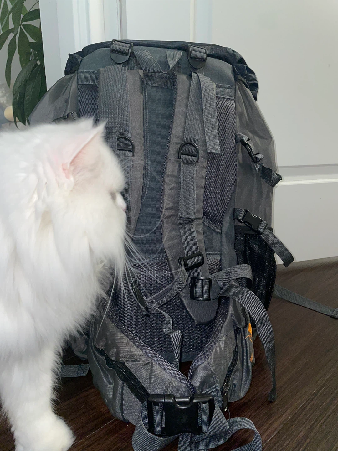 Hiking Backpack - Grey - photo 2