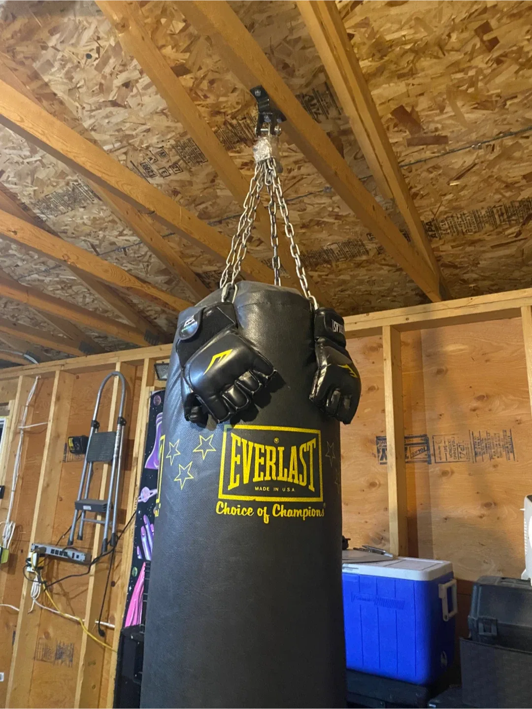 Everlast Choice of Champions Punching Bag with Gloves image indicator(2)