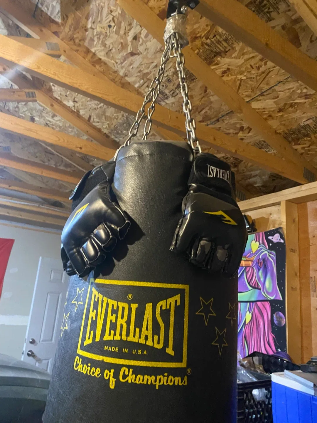 Everlast Choice of Champions Punching Bag with Gloves