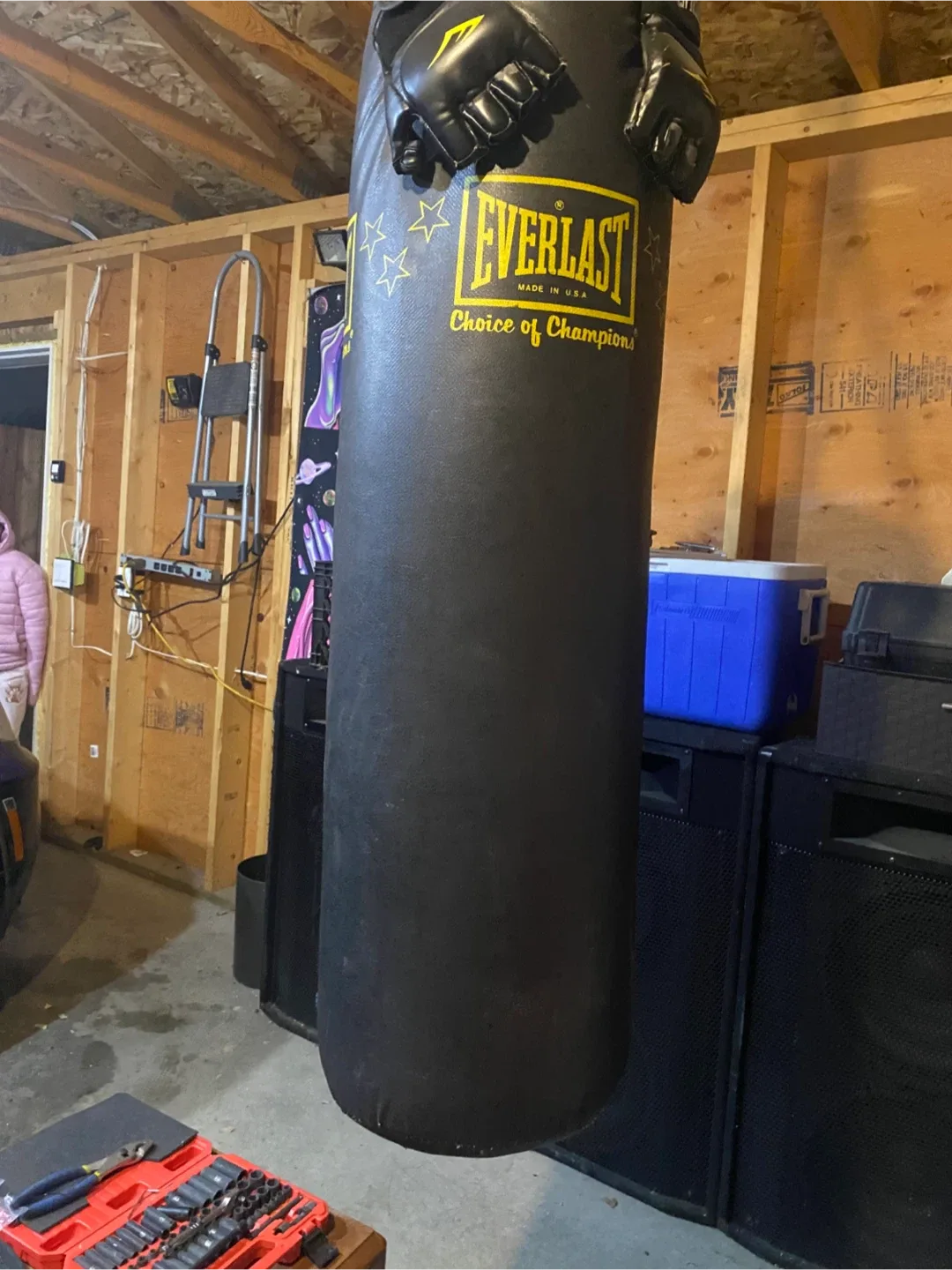 Everlast Choice of Champions Punching Bag with Gloves image indicator(3)