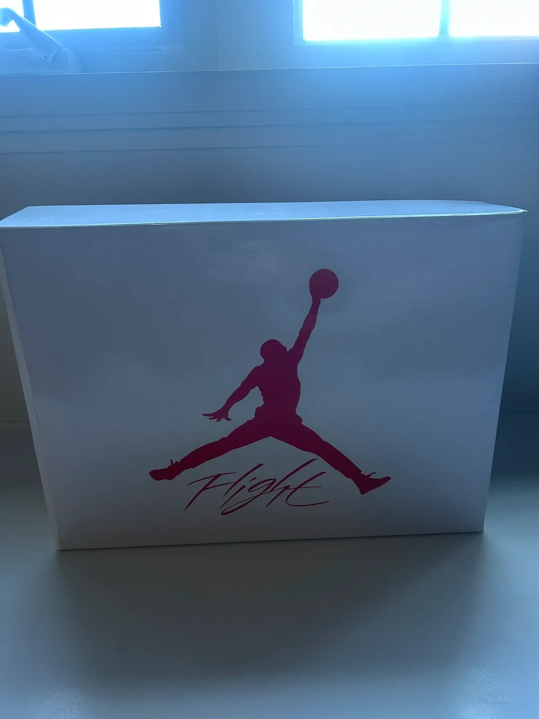 Air Jordan 4 Retro White/Tech Grey - Size 7.5 image indicator(3)