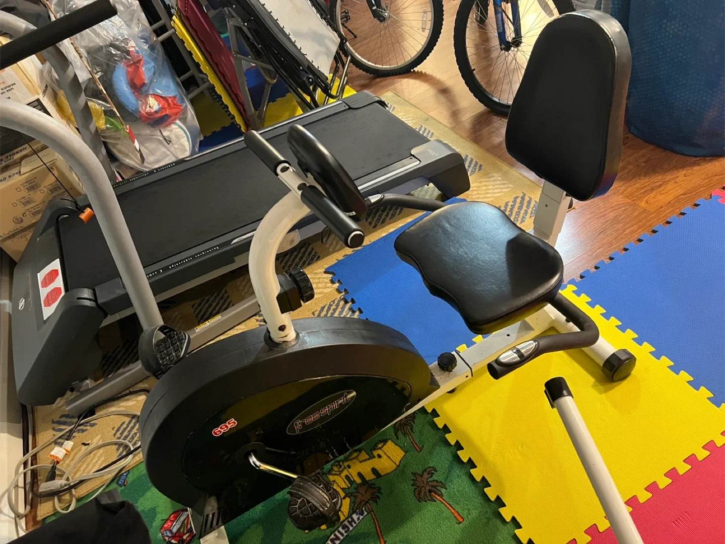 Free Spirit 695 Recumbent Bike image indicator(2)