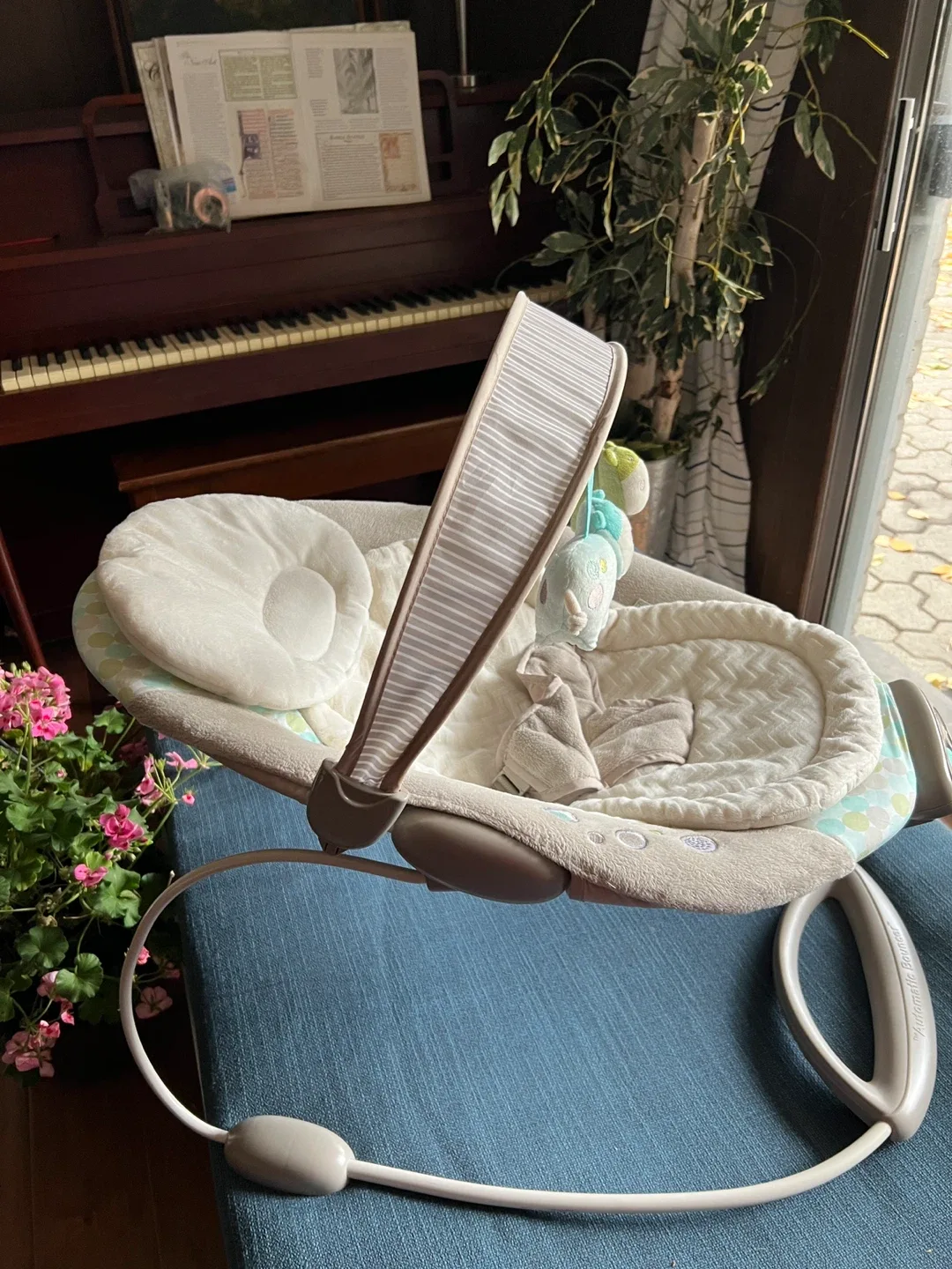 Baby bouncer image indicator(2)