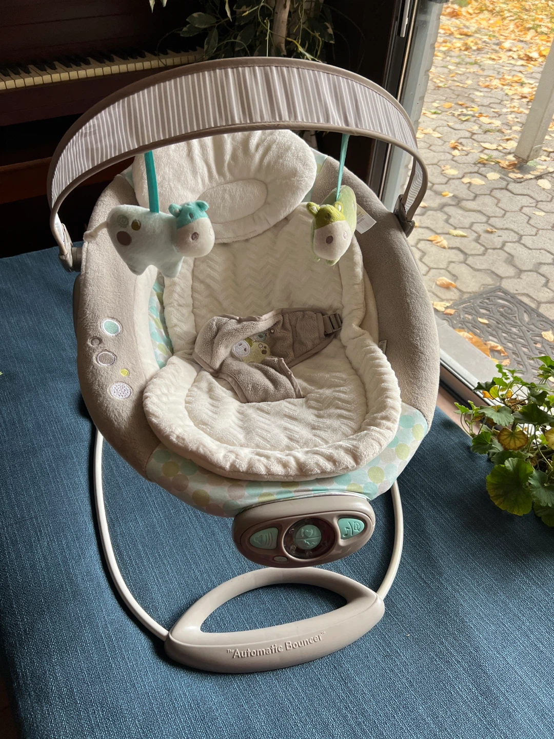 Baby bouncer