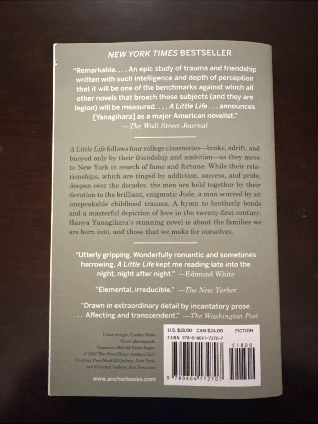 A Little Life by Hanya Yanagihara image indicator(2)