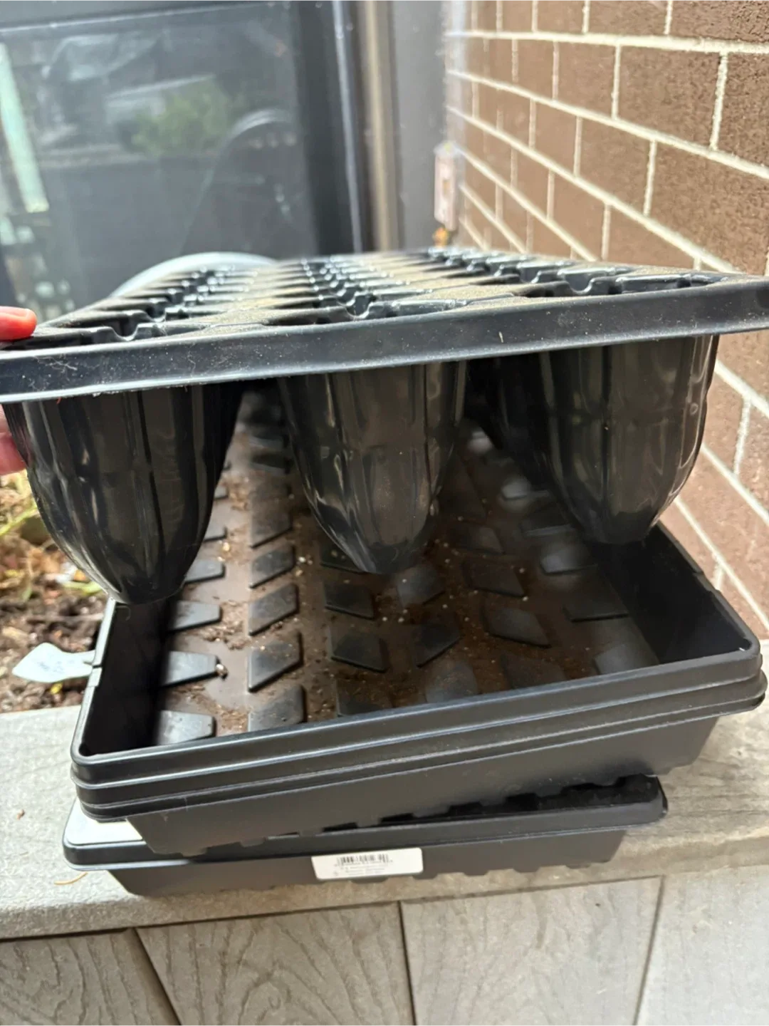 Seedling starter trays image indicator(5)