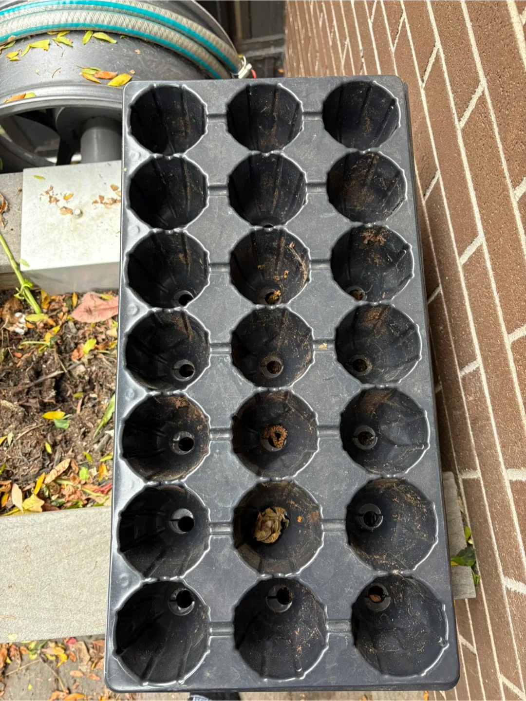 Seedling starter trays image indicator(3)