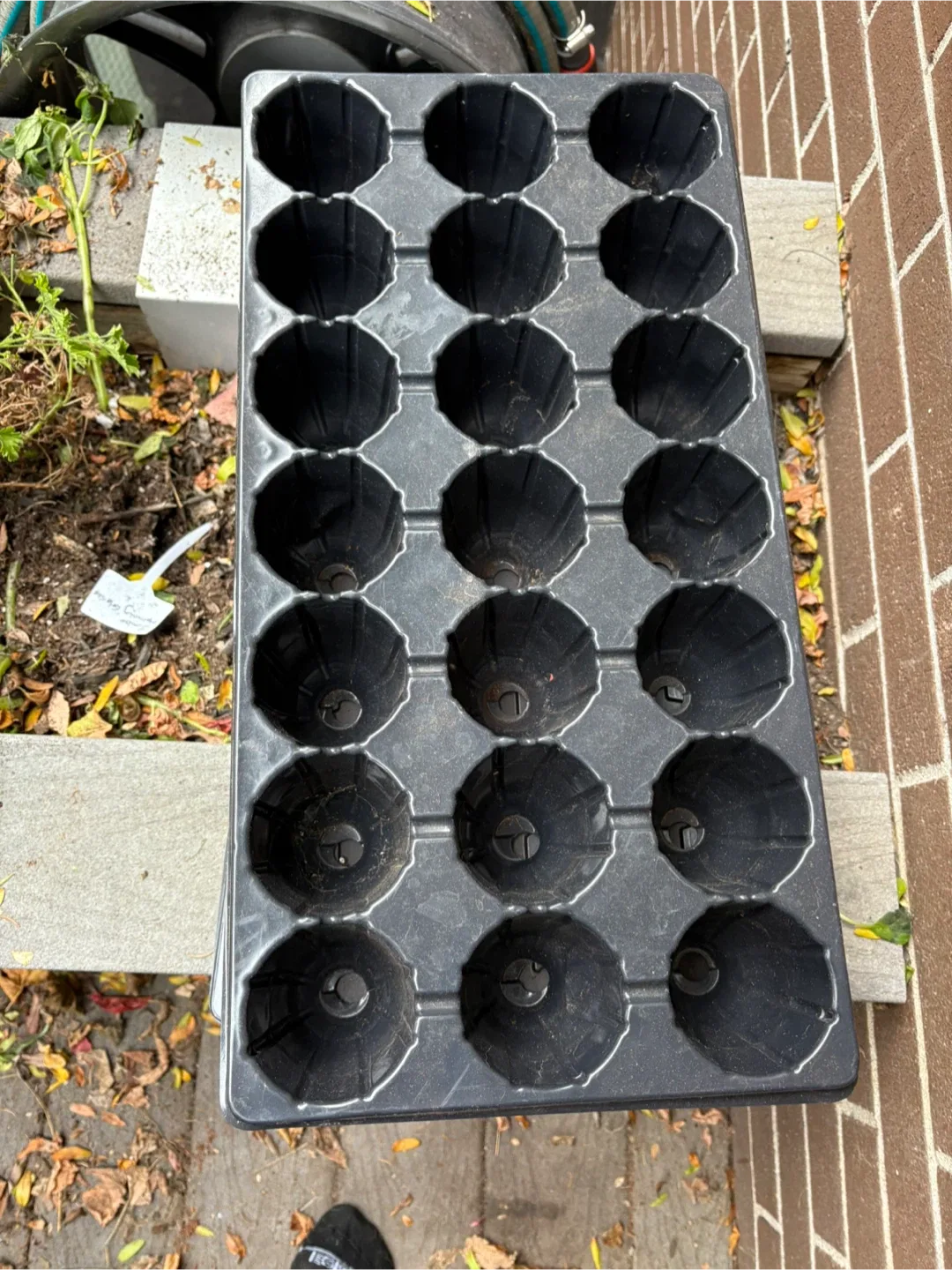 Seedling starter trays image indicator(2)