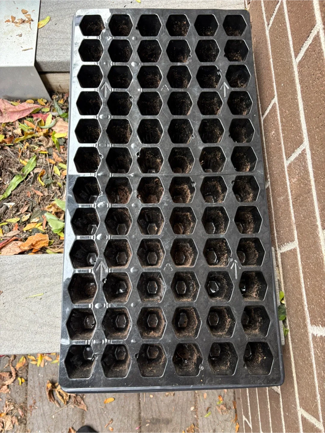 Seedling starter trays image indicator(4)