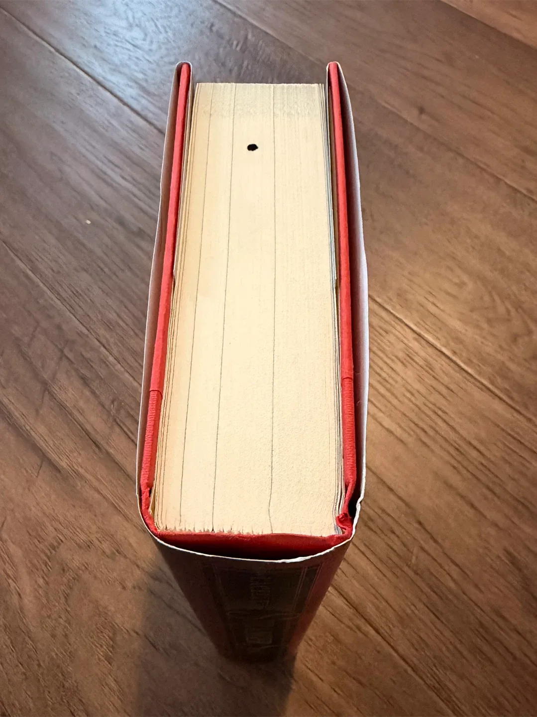 Brand New Stranger Skies by Pascale Lacelle image indicator(6)