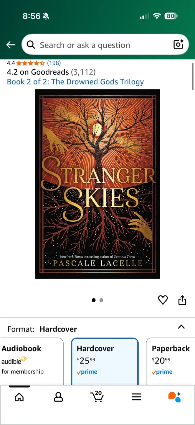Brand New Stranger Skies by Pascale Lacelle image indicator(7)