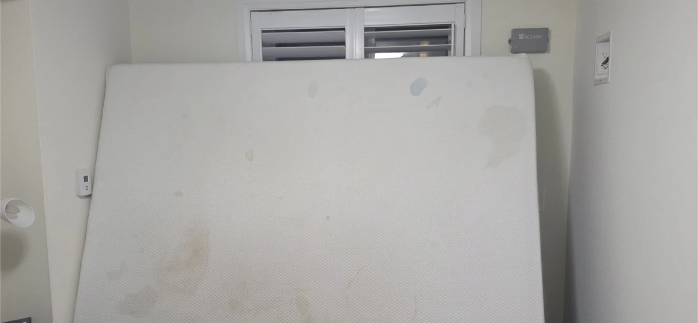 Jingwei Mattress- Queen size