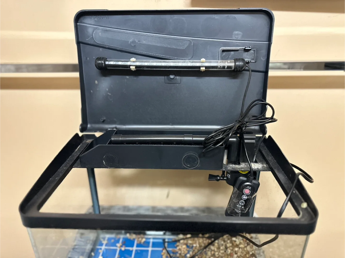 Glass aquarium with curved edges image indicator(3)