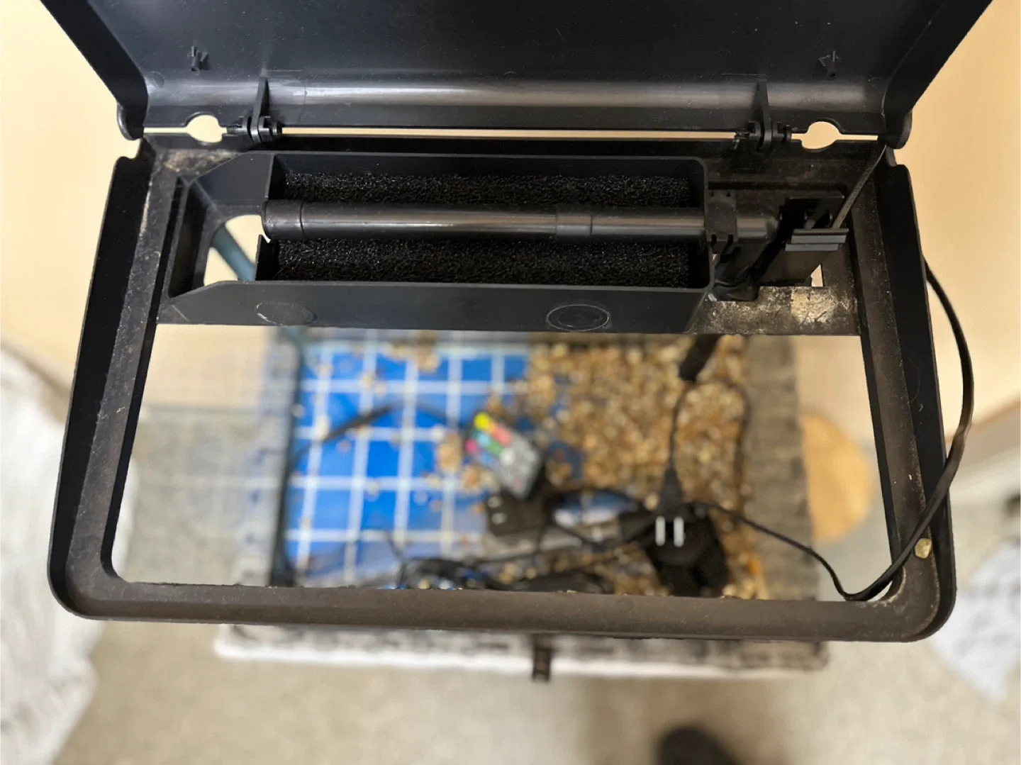 Glass aquarium with curved edges image indicator(2)