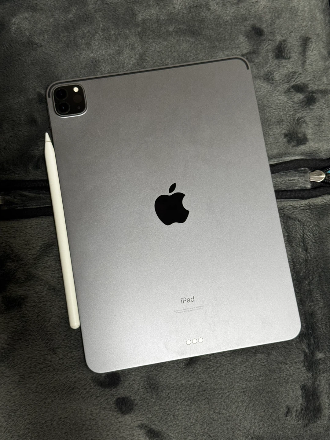 Apple iPad Pro 11-inch M1 (3rd Gen) 256GB + Apple Pencil - photo 2