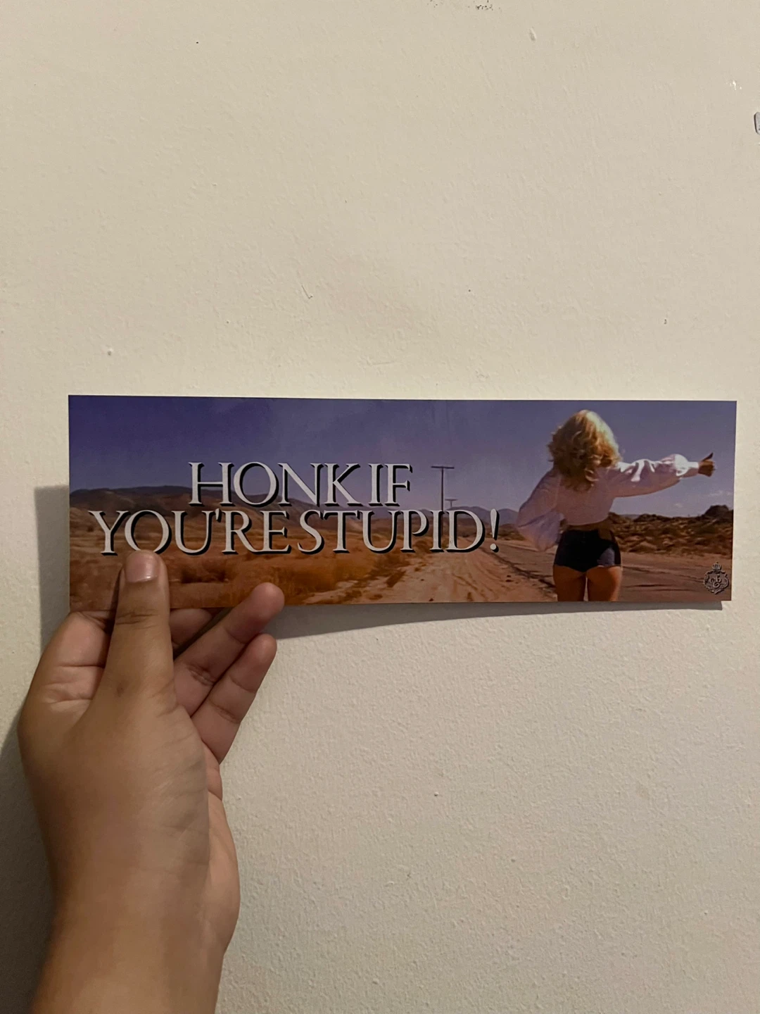 SABRINA CARPENTER STICKER BUMPER OFFICIAL