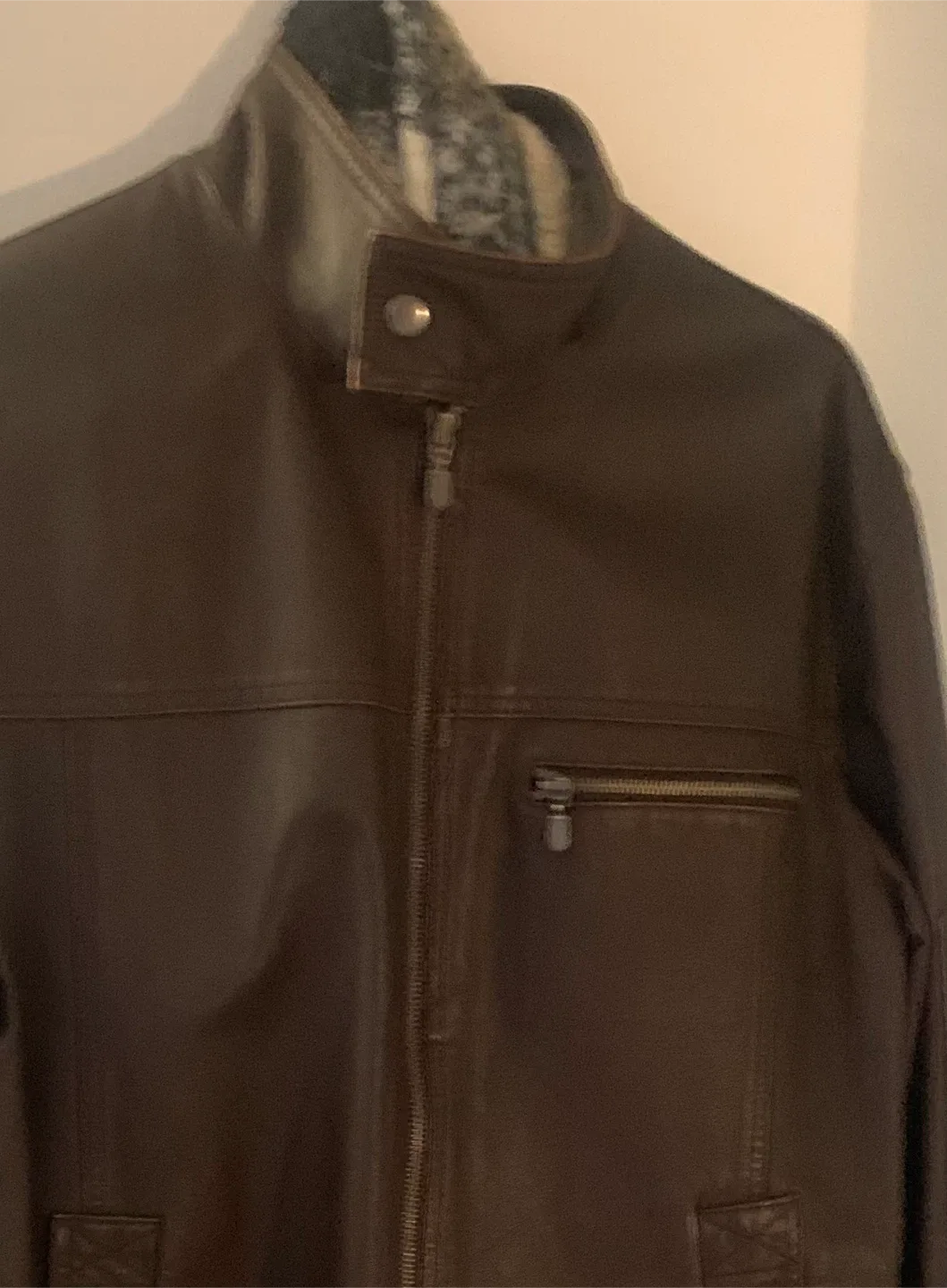 Danier Brown Leather Jacket - Size L/G image indicator(2)