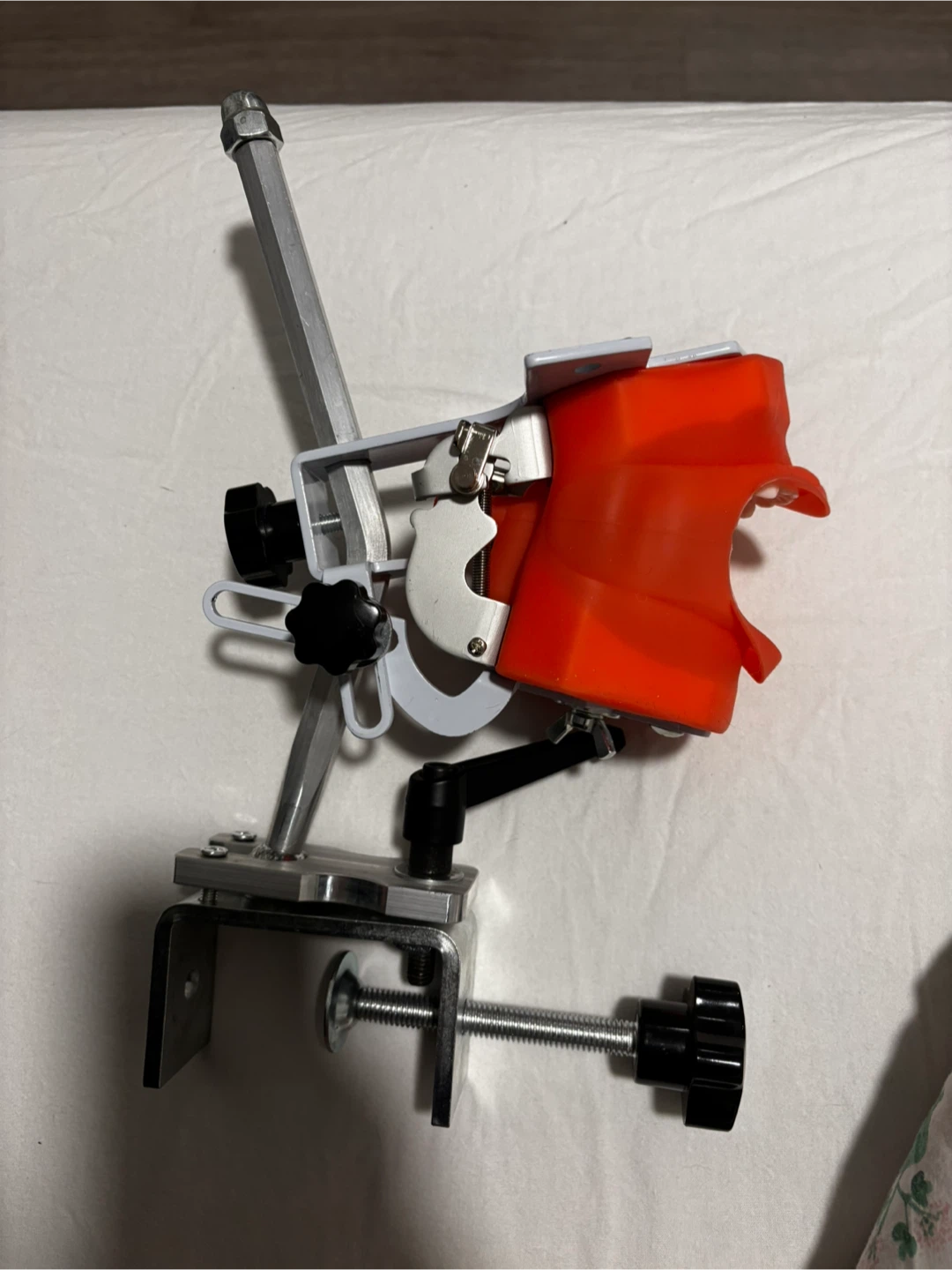 Dental Typodont with Bench Mount