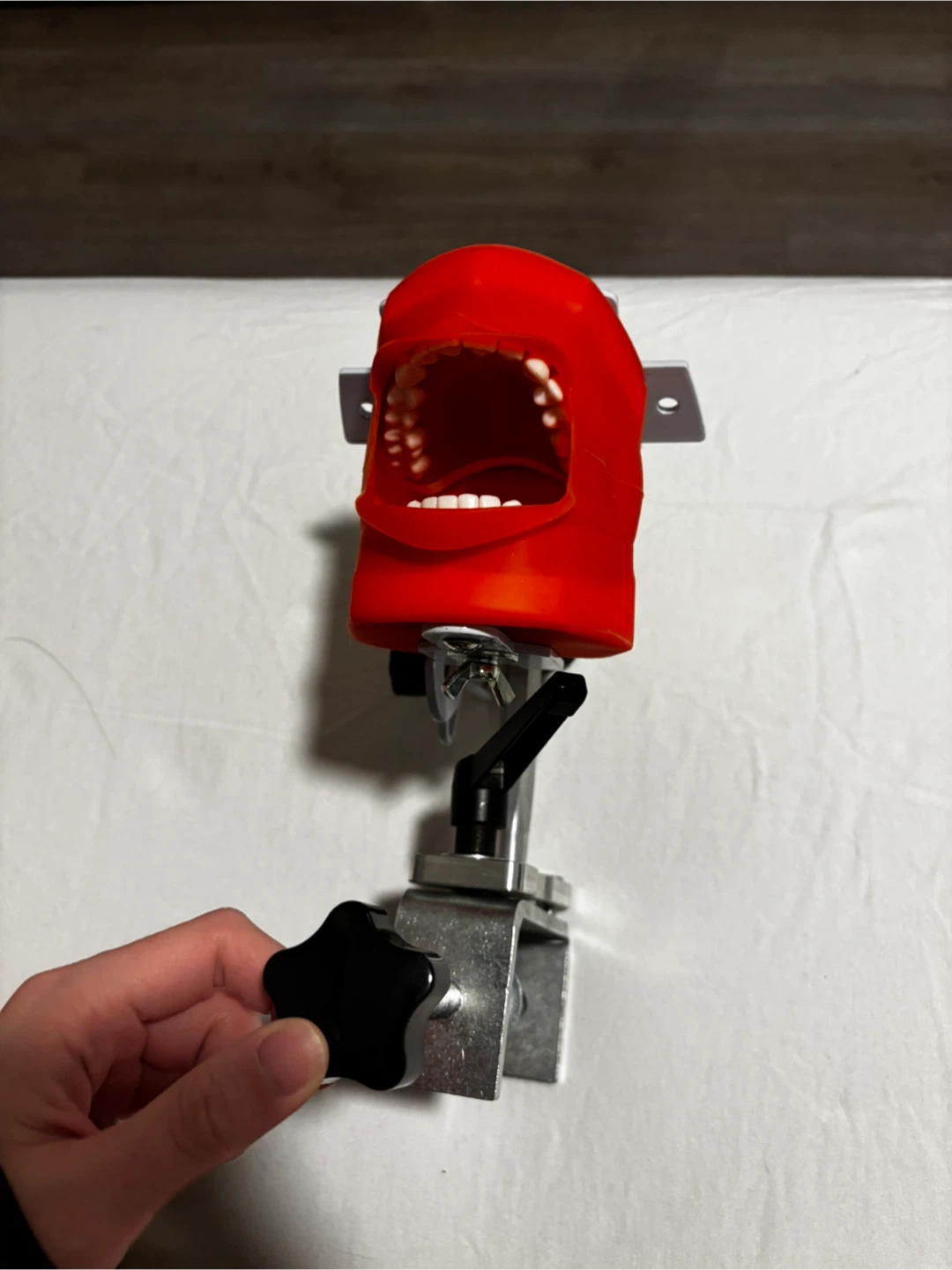 Dental Typodont with Bench Mount - photo 2