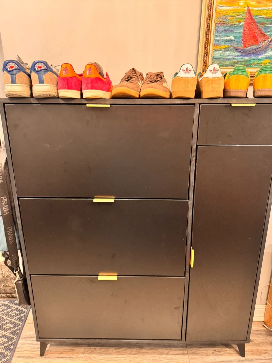 Shoe Storage Cabinet