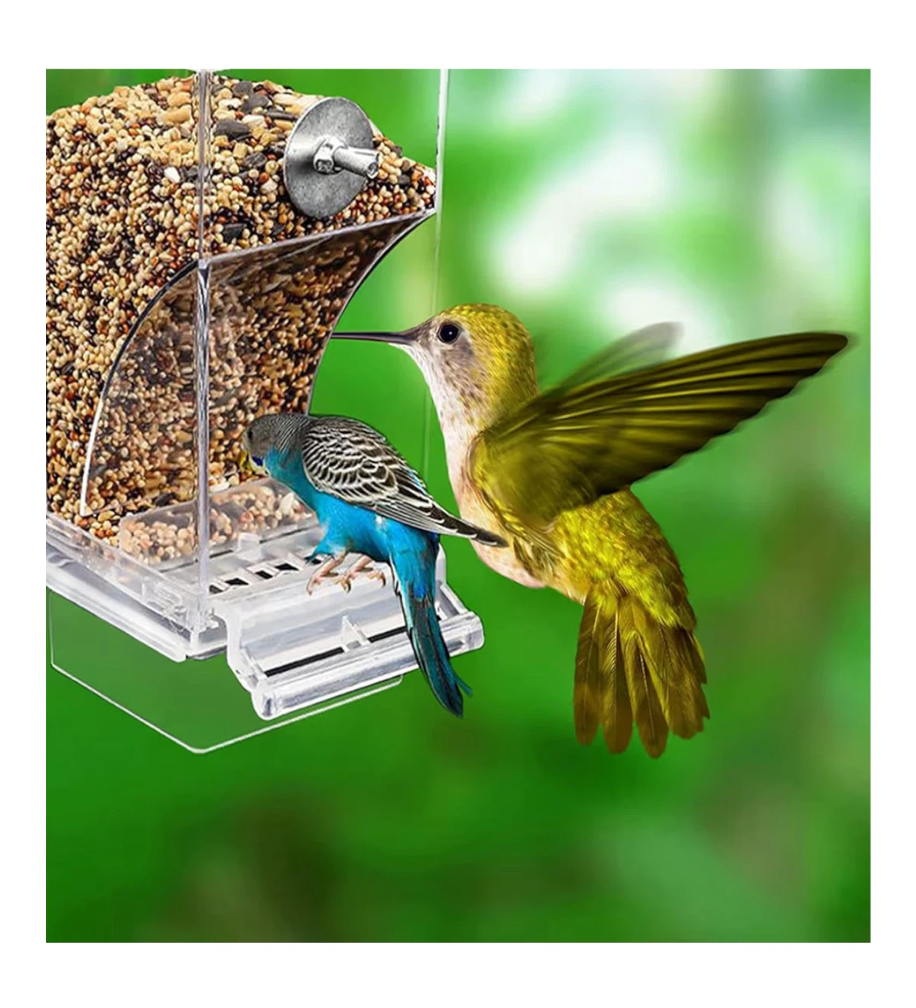 Clear Acrylic Bird Feeder - photo 2