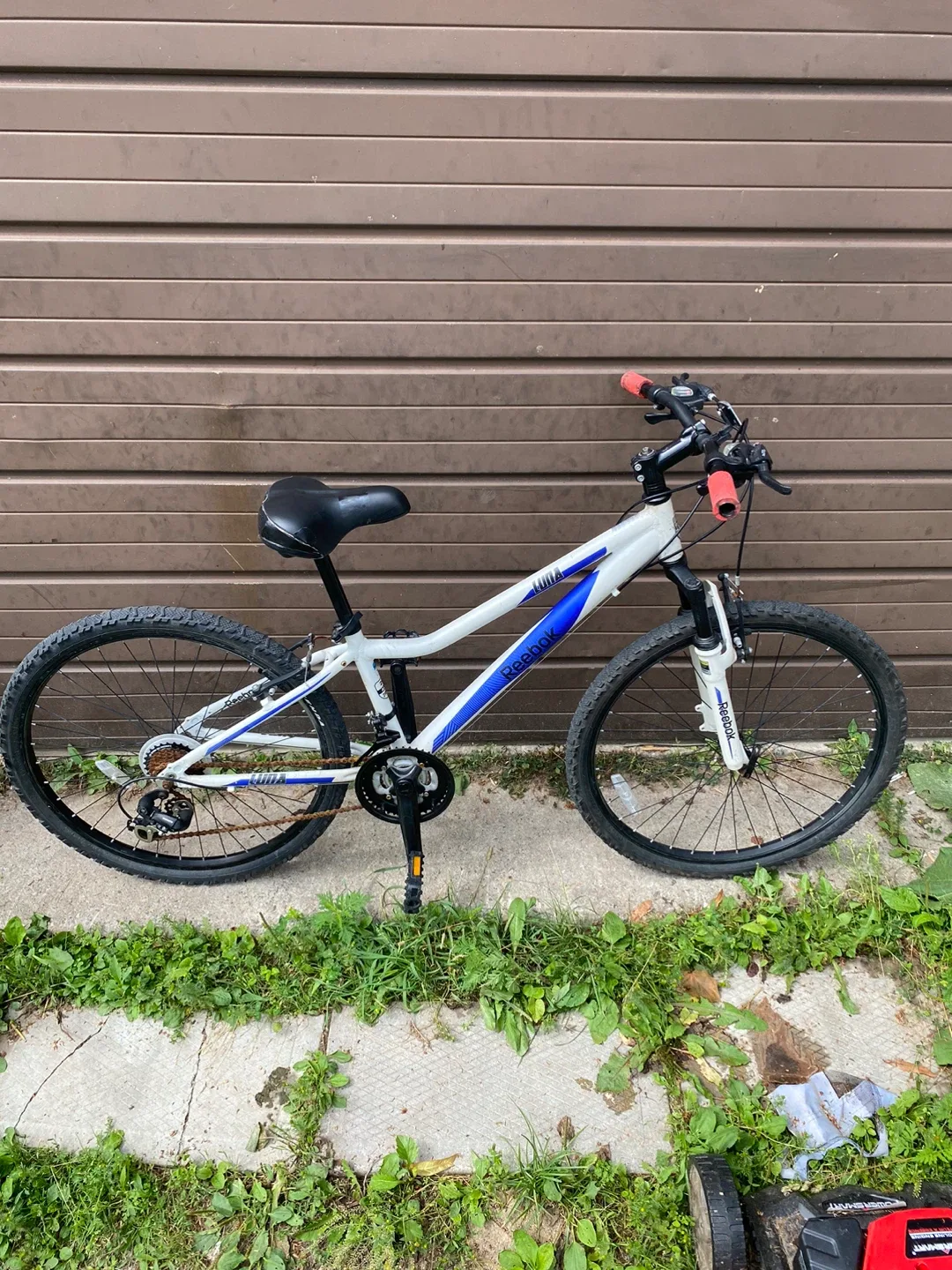 Reebok 24” ALUMINUM 21SPD 13" girl bike